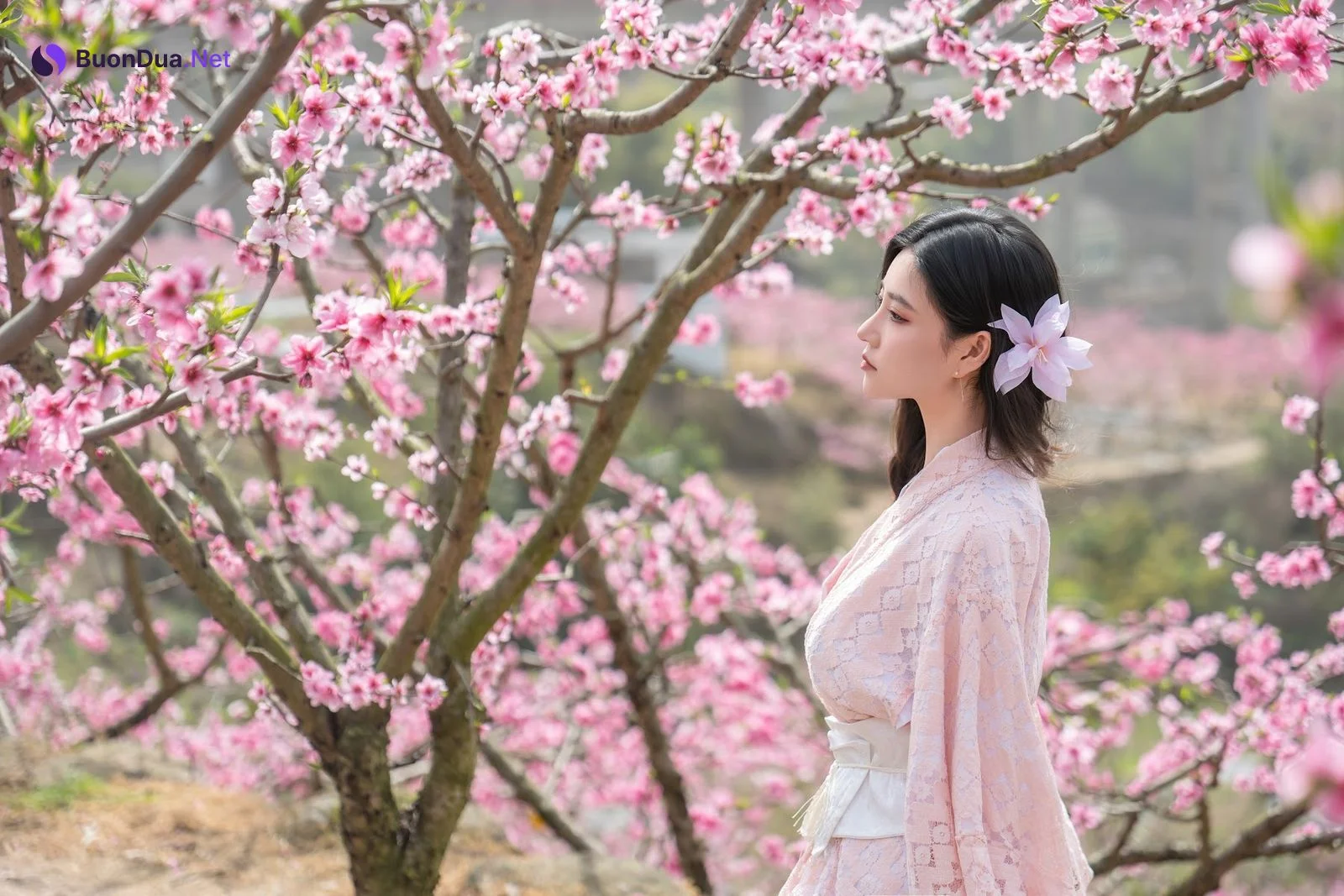 Coser@年年Nnian – 漫花 - 写真 4