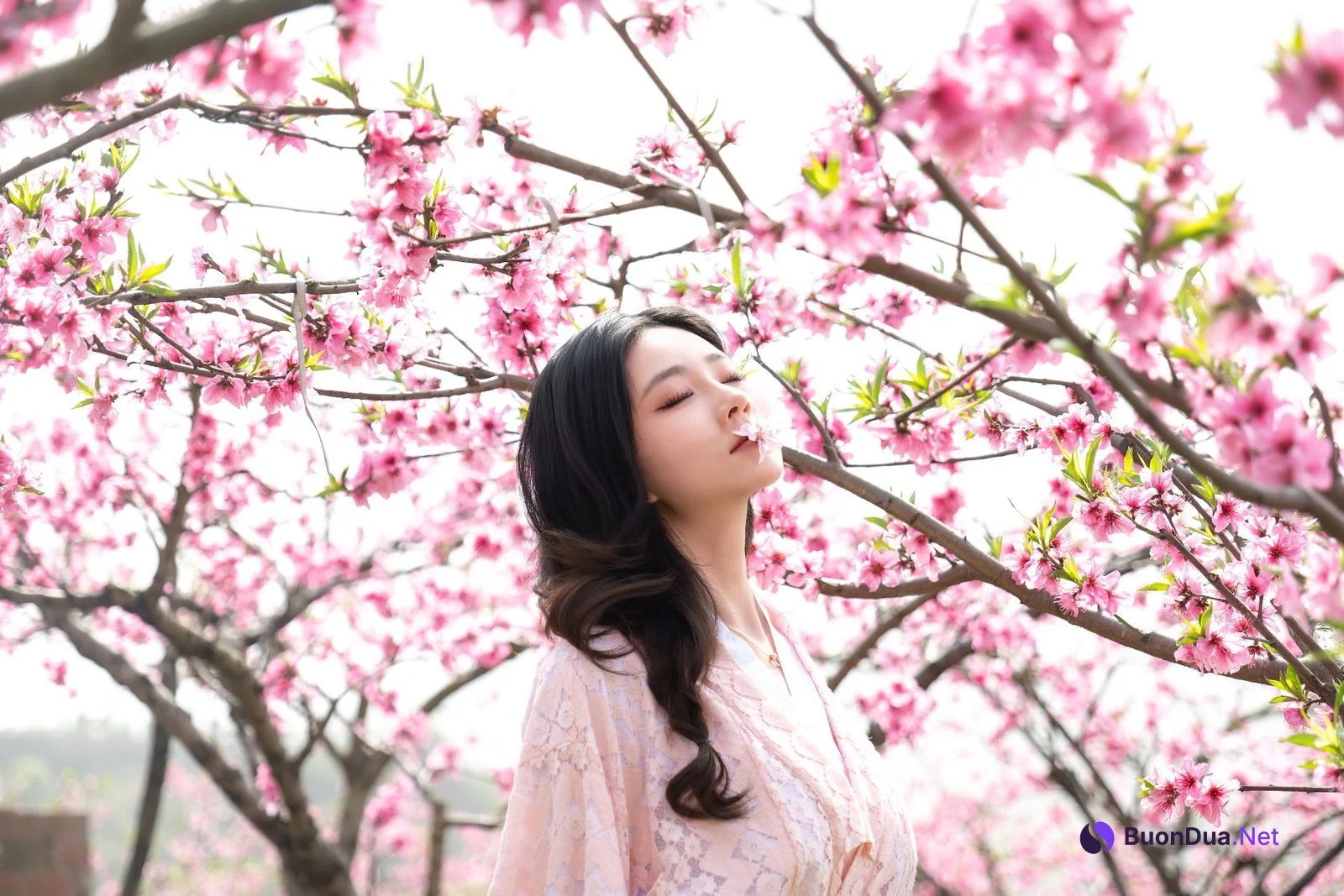 Coser@年年Nnian – 漫花 - 写真 9