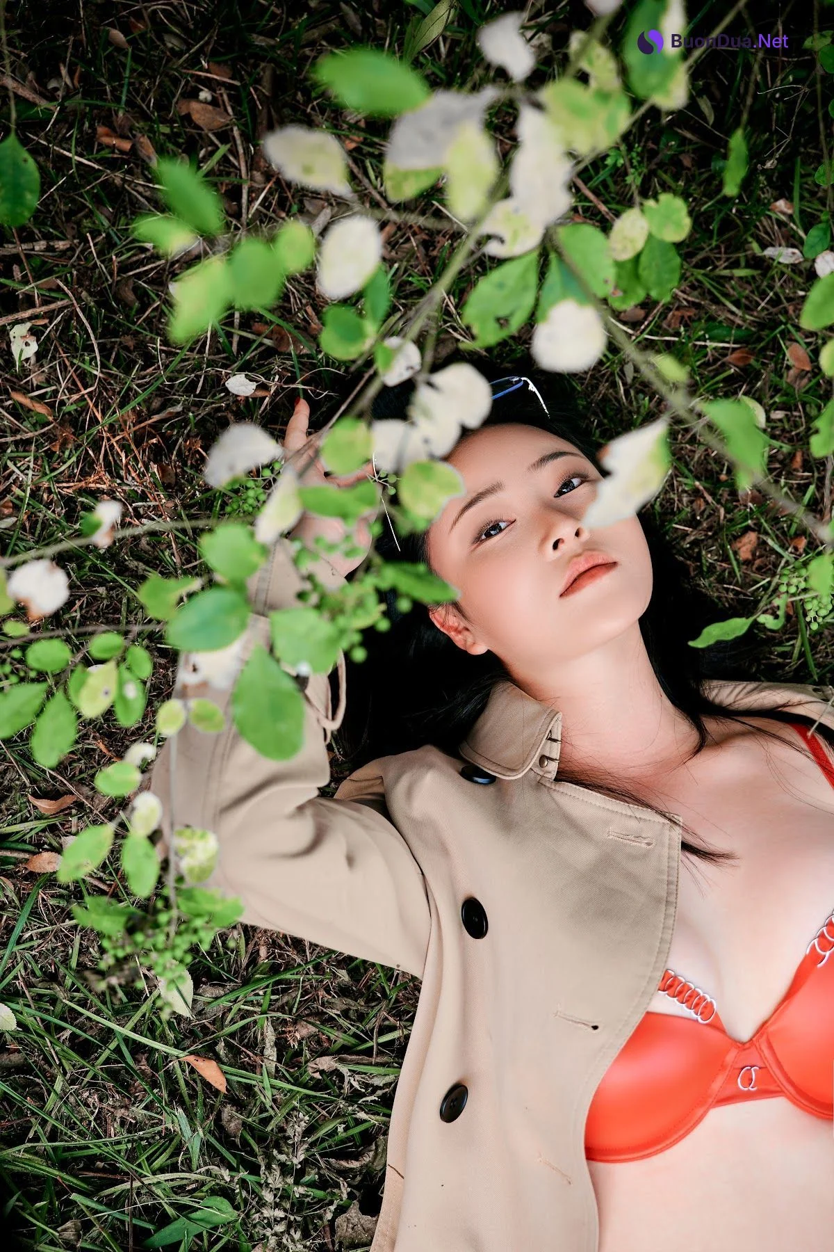 Coser@年年Nnian – Nature - Photo 16