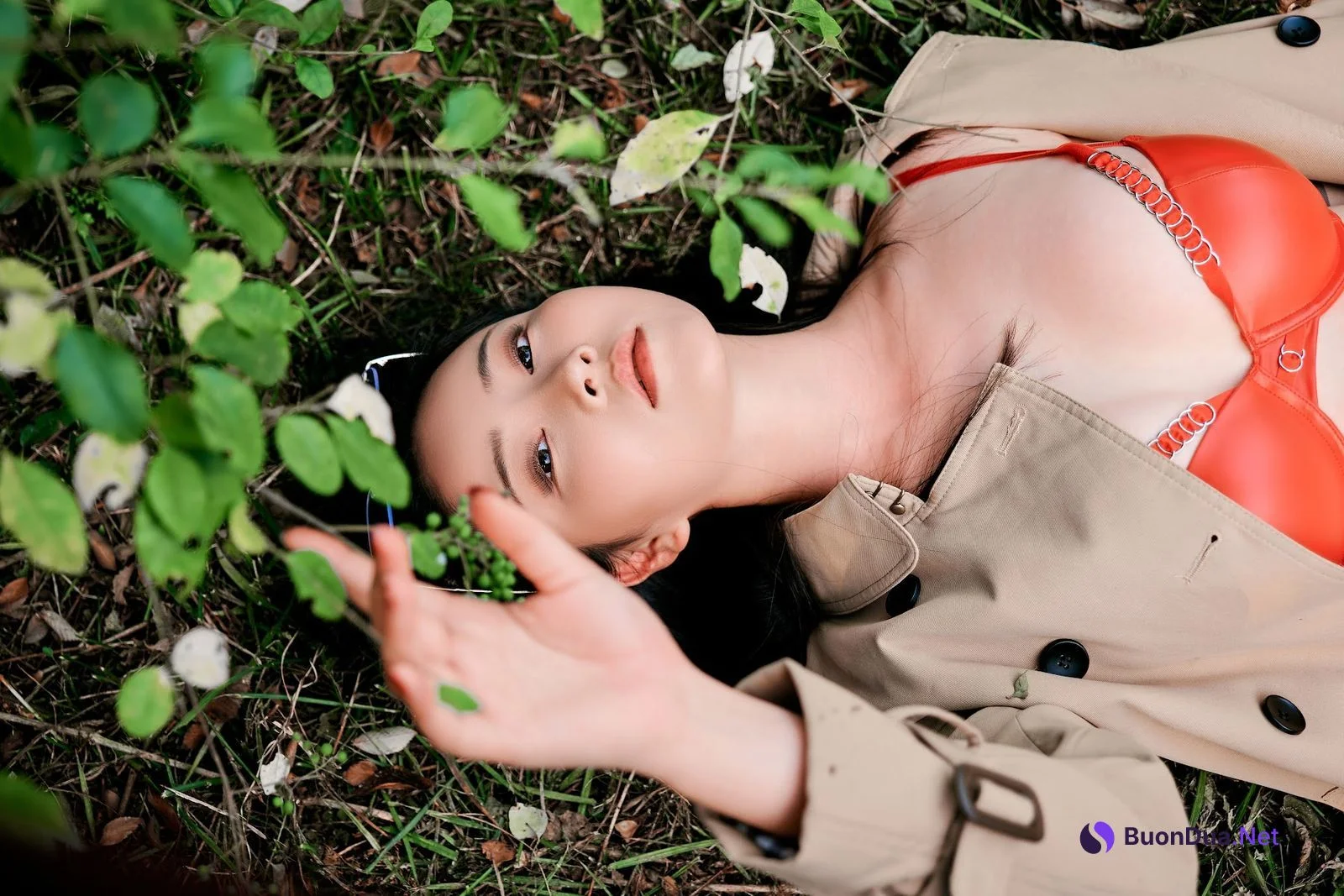Coser@年年Nnian – Nature - Photo 17