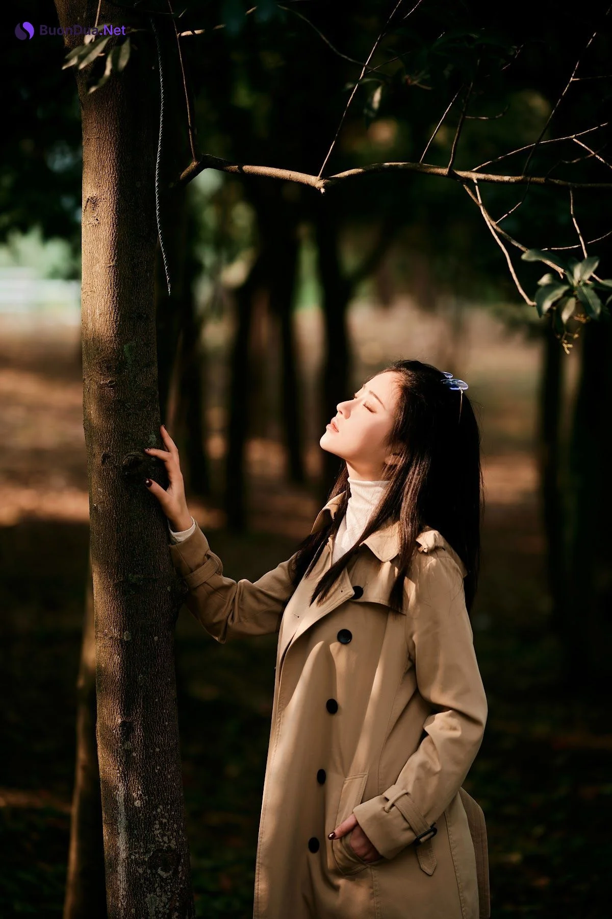 Coser@年年Nnian – Nature - Photo 3