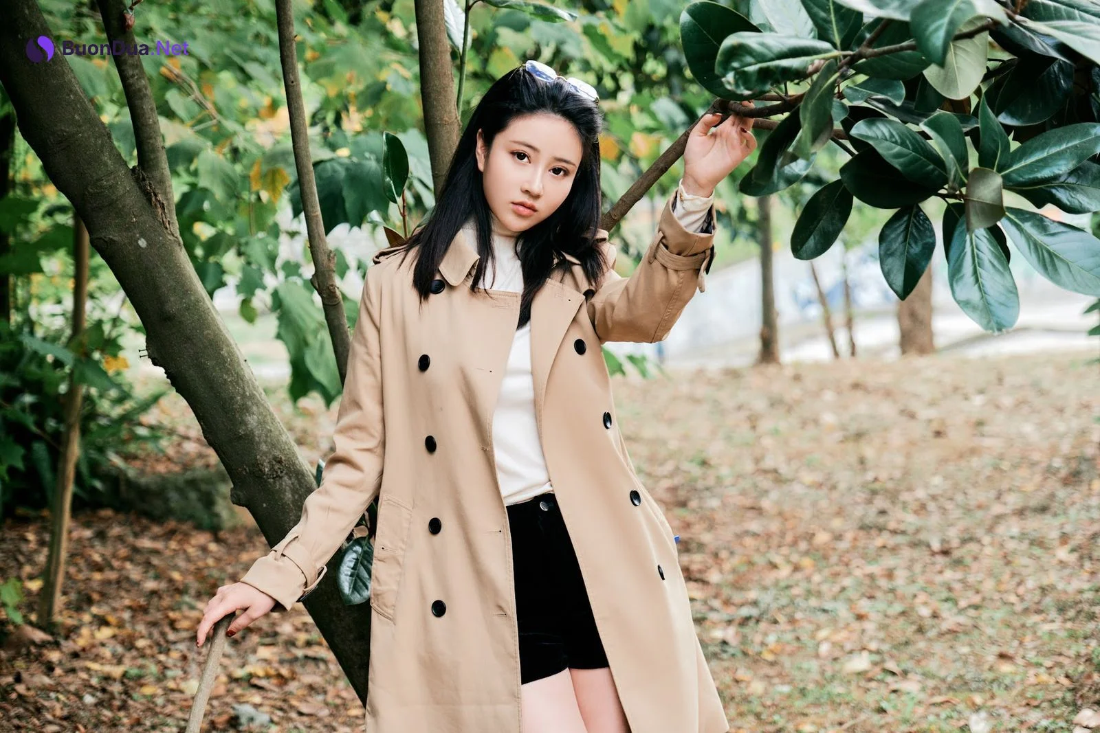 Coser@年年Nnian – Nature - Photo 7