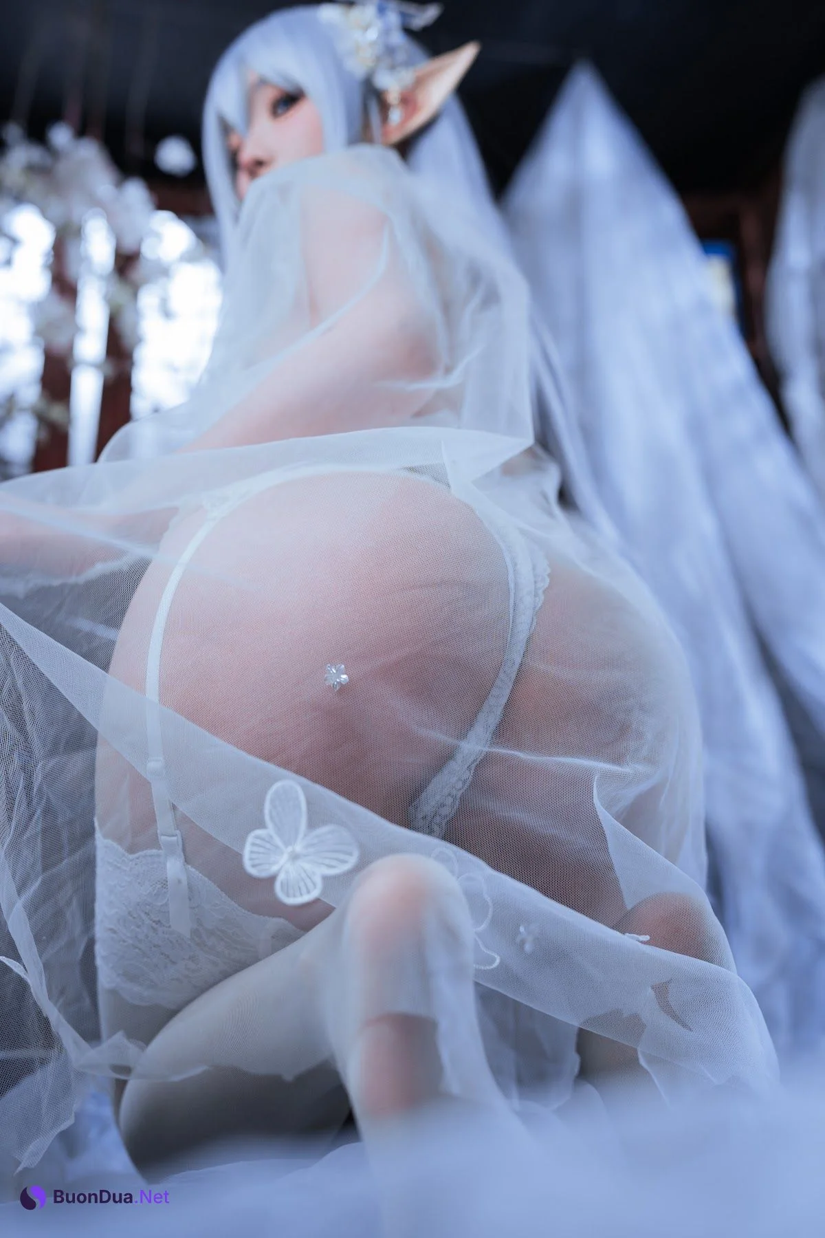 Coser@rioko凉凉子 – 阿尔比恩旗袍 - รูปภาพ 18