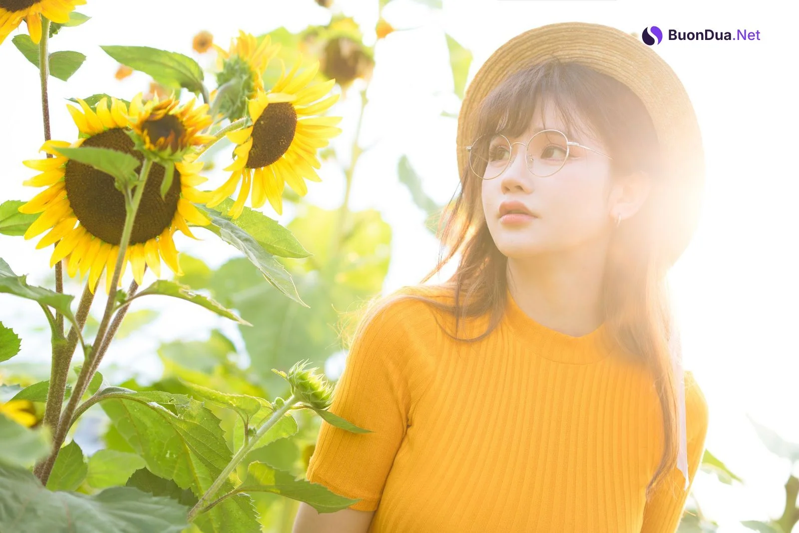 Coser@前羽_rr – 向日葵 - 写真 10