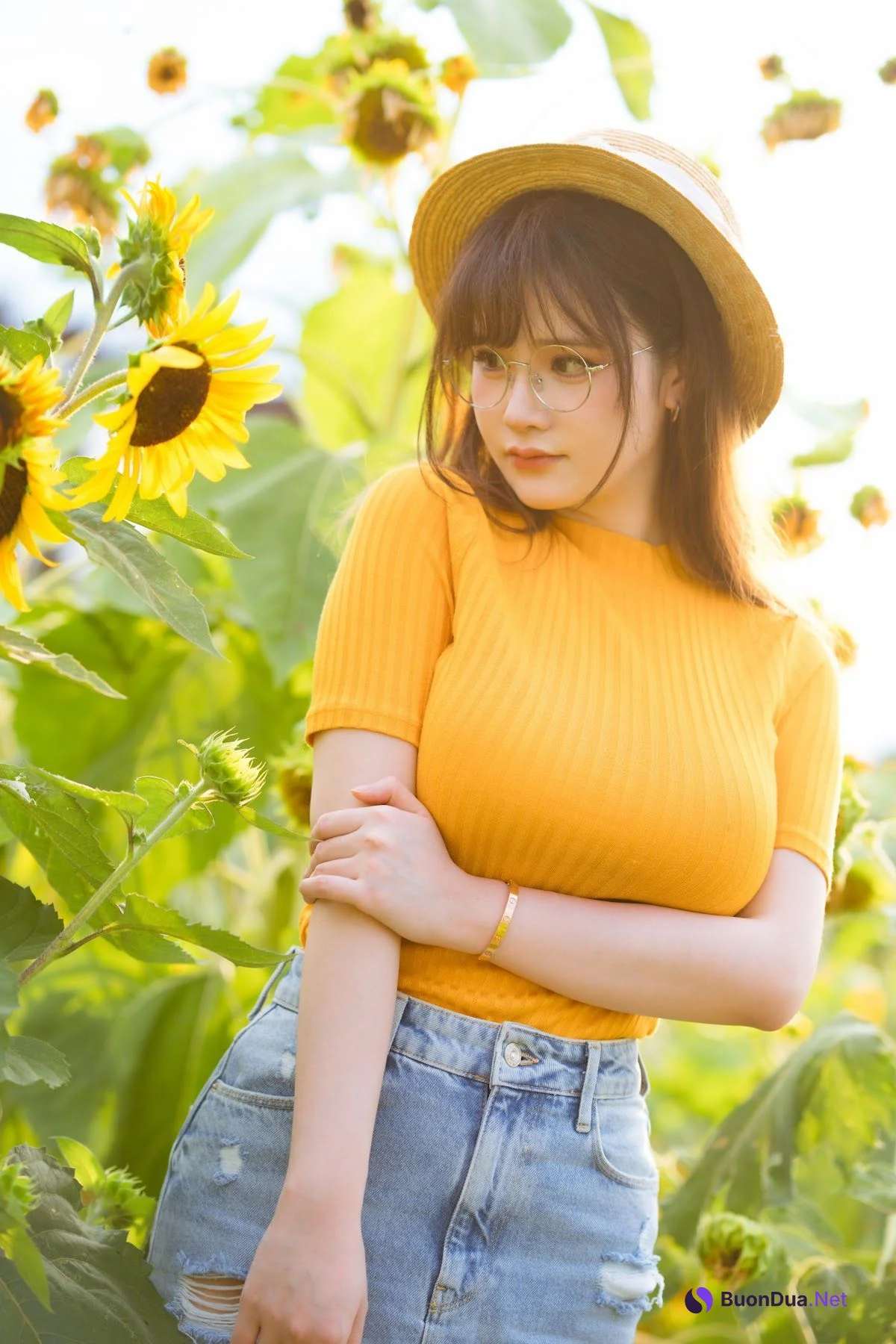 Coser@前羽_rr – 向日葵 - 写真 3