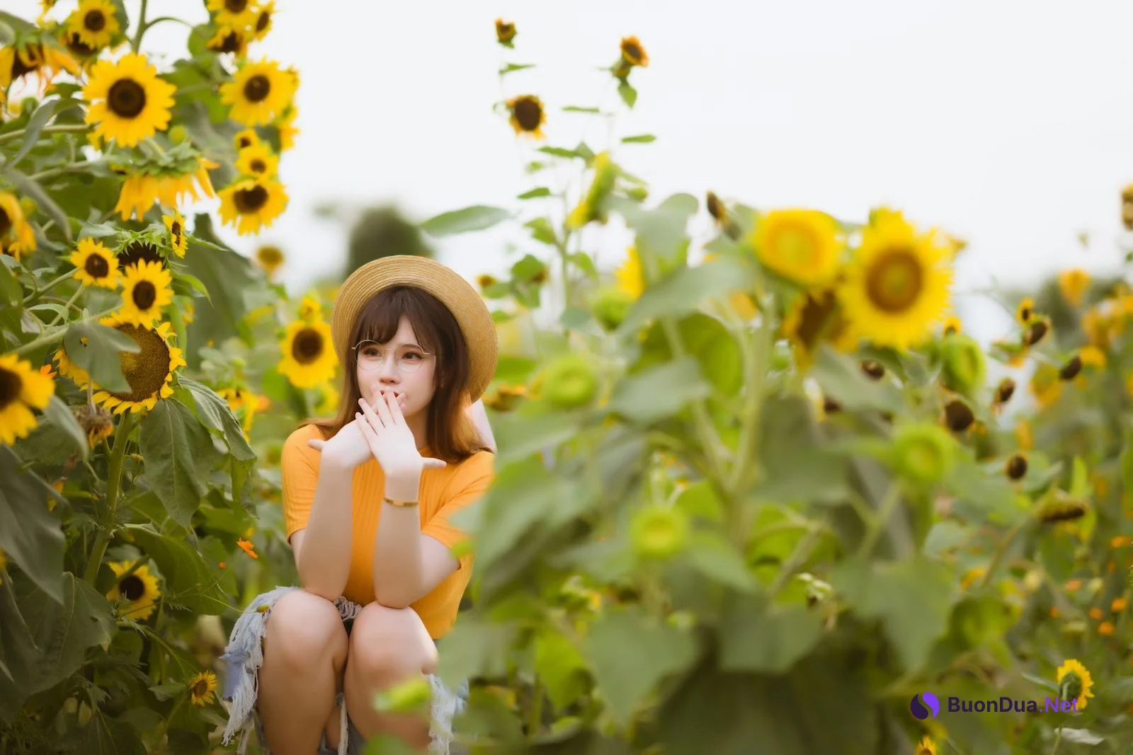 Coser@前羽_rr – 向日葵 - 写真 4