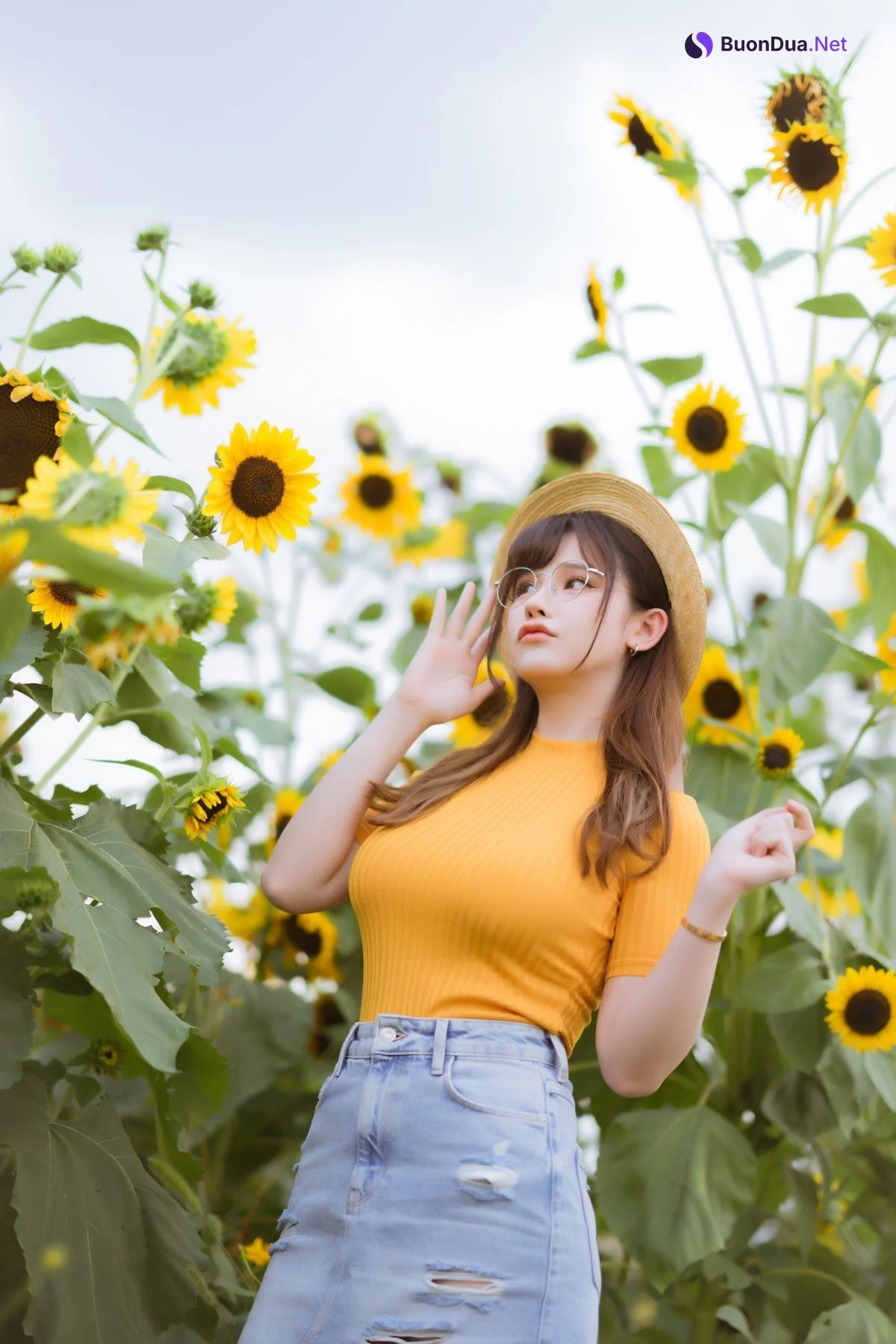 Coser@前羽_rr – 向日葵 - 写真 7