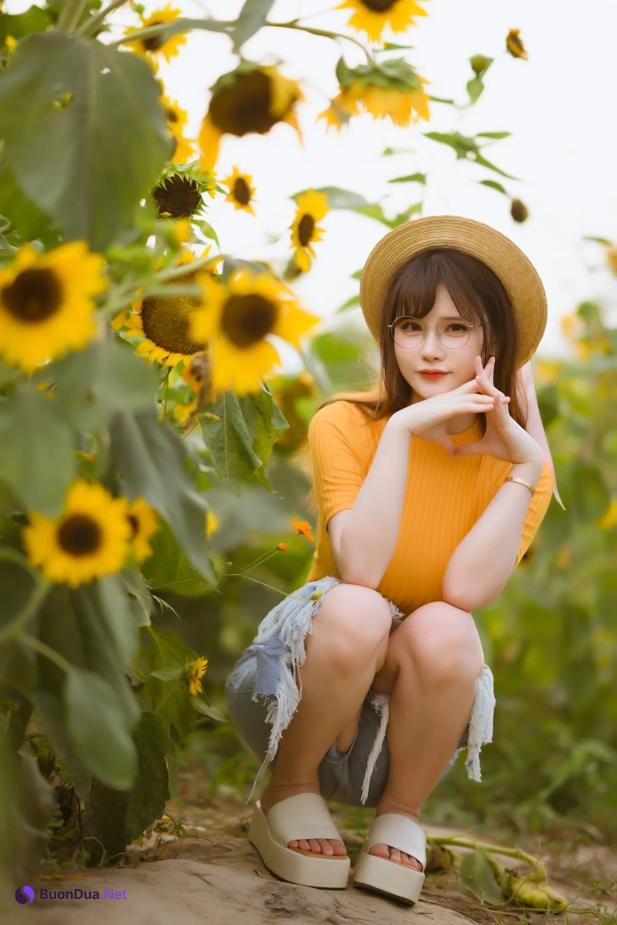 Coser@前羽_rr – 向日葵 - 写真 9