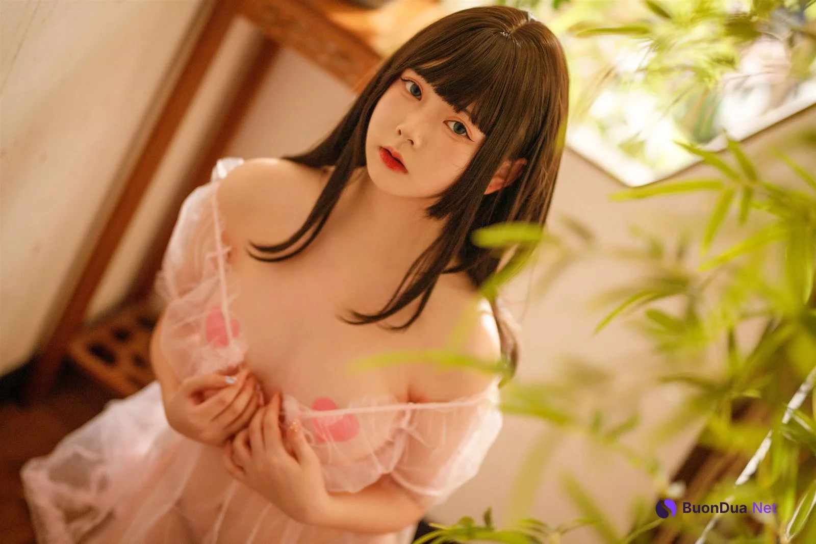Cosplay 巧克力小圆面包 轻纱幔帐 - Photo 5