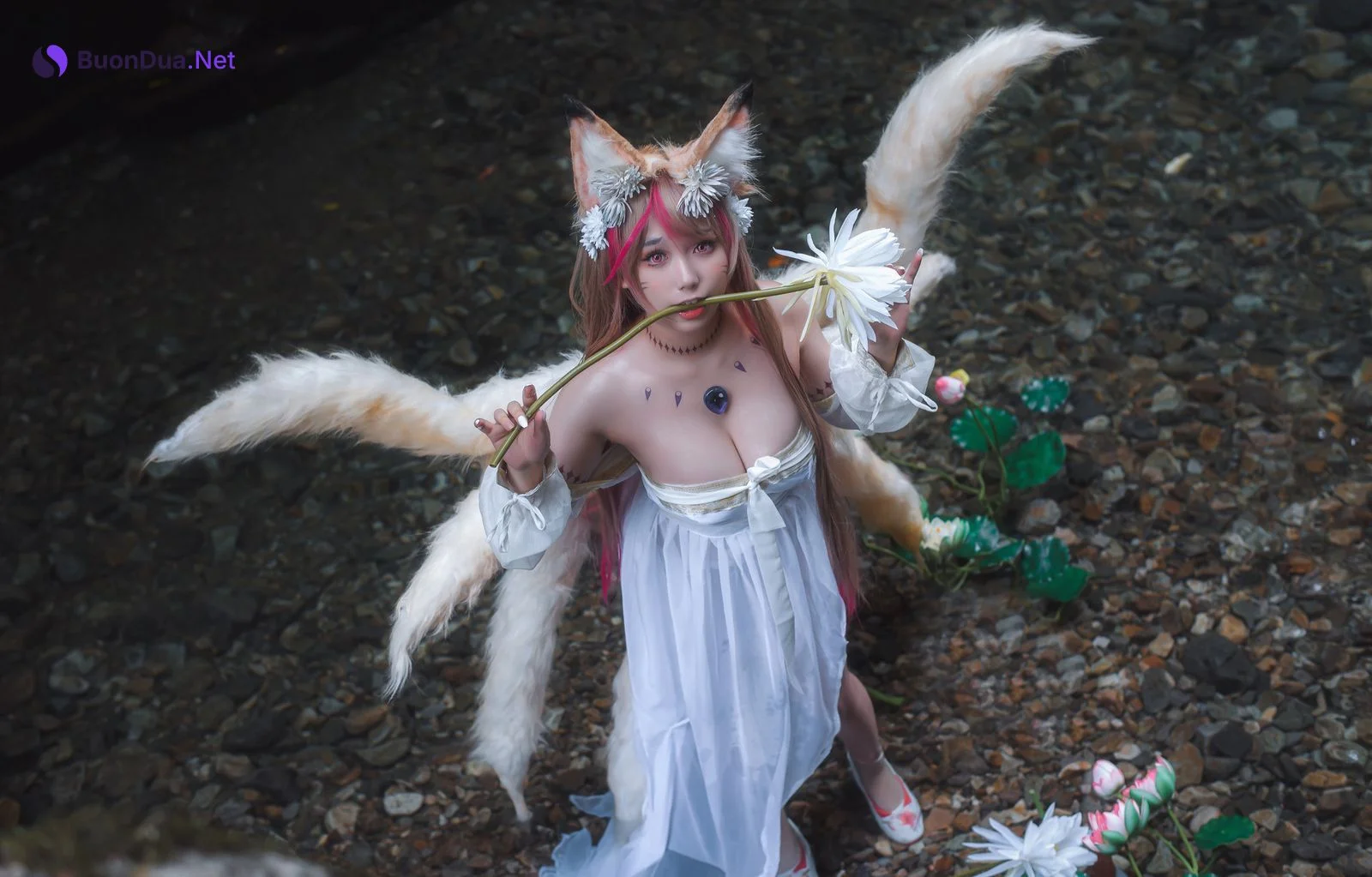 一北亦北 Cosplay 天命之子玉藻前 - Photo 16