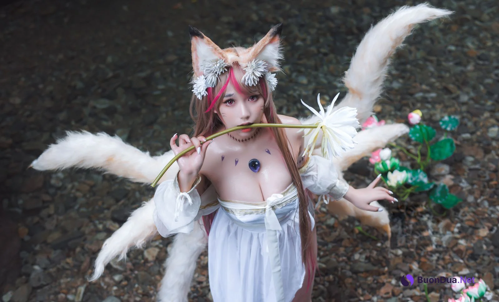 一北亦北 Cosplay 天命之子玉藻前 - Photo 18