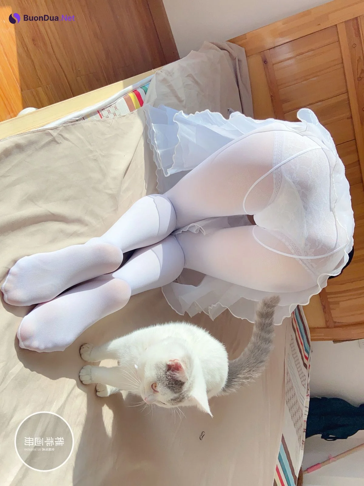 Cosplay 稚乖画册 夜夜 嬉戏 80d白丝 - Photo 19