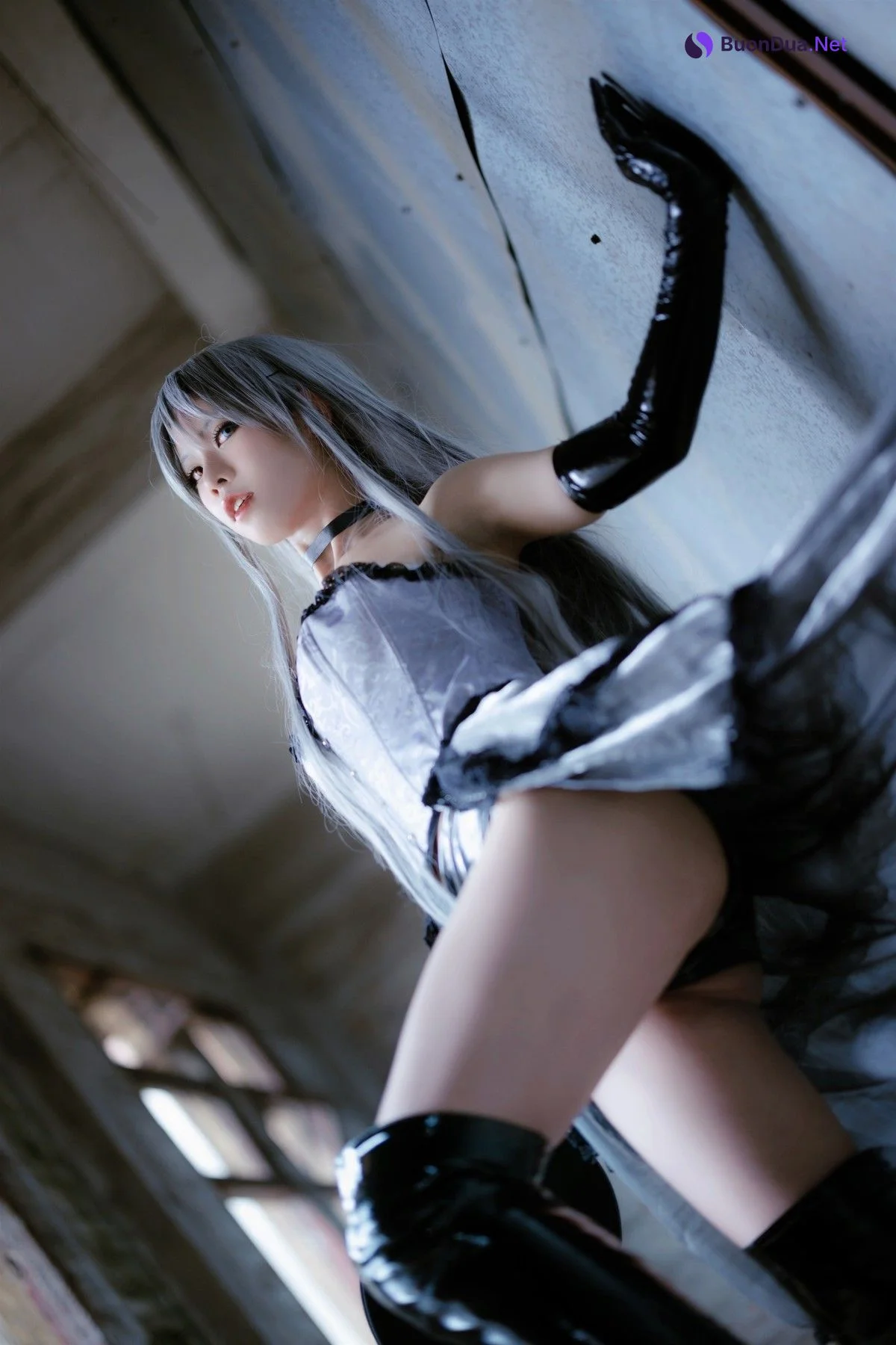 Cosplay 泫影 黑山梗菜 - Photo 12