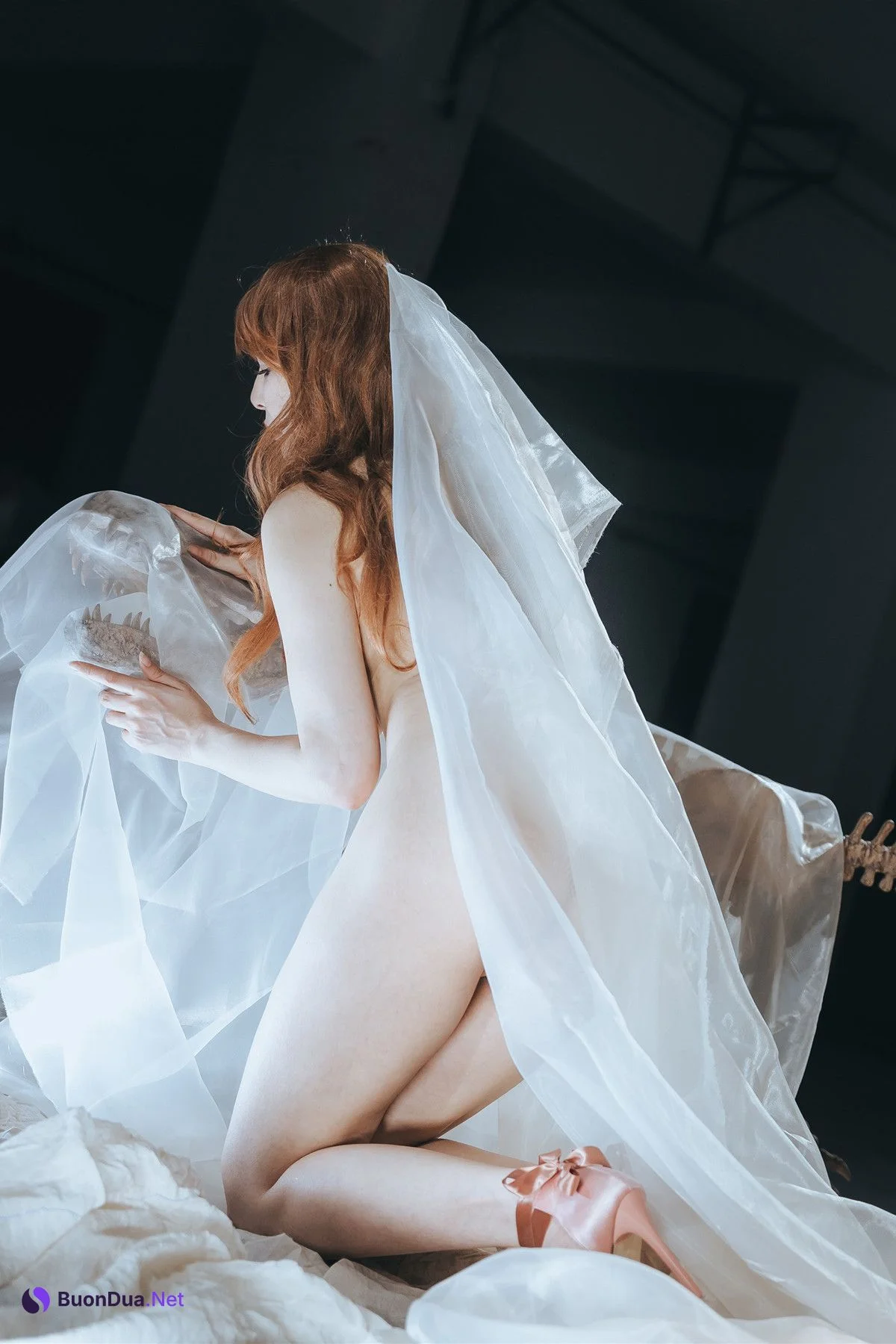 Cosplay 秋和柯基 夏小秋秋秋 纱 - Photo 10