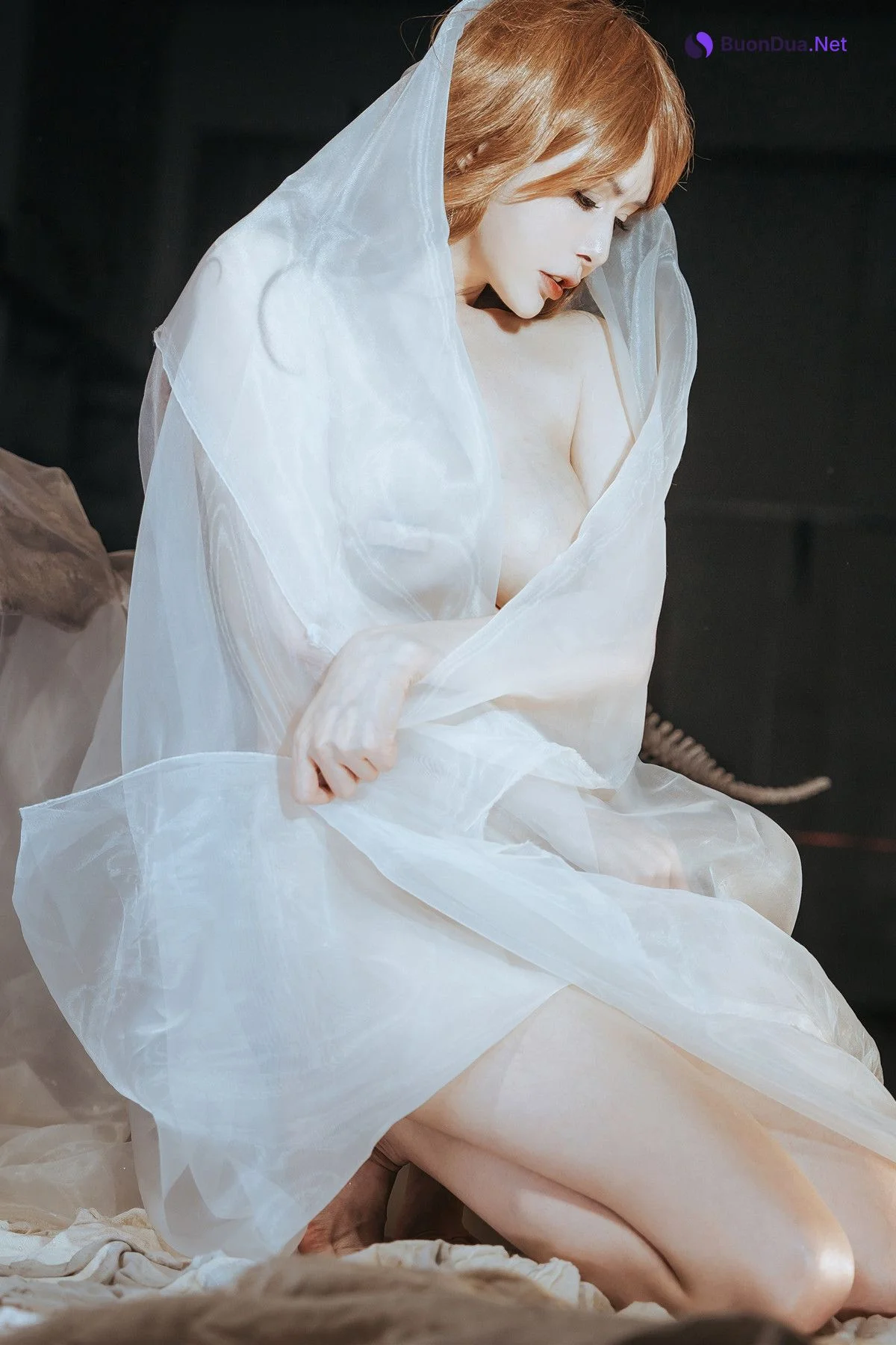 Cosplay 秋和柯基 夏小秋秋秋 纱 - Photo 19