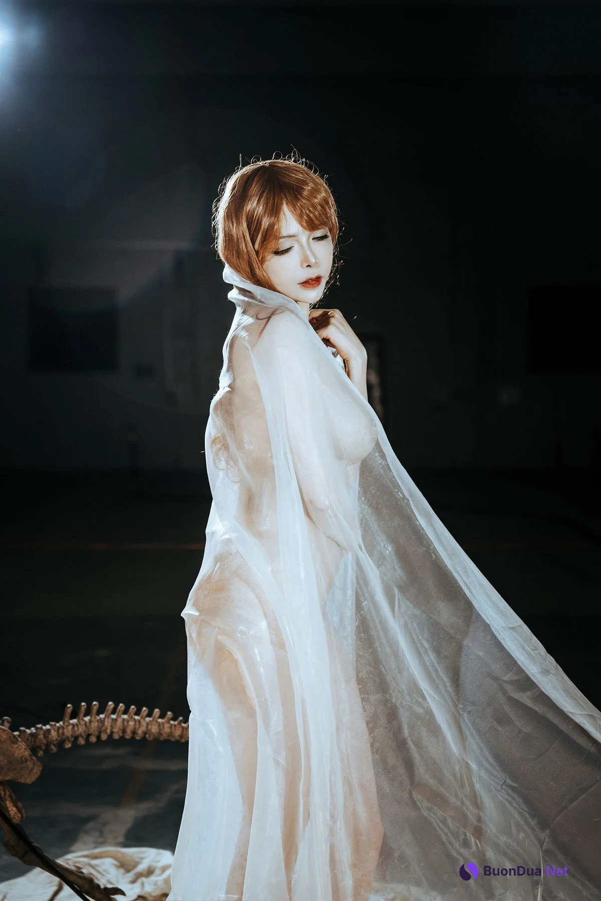 Cosplay 秋和柯基 夏小秋秋秋 纱 - Photo 4