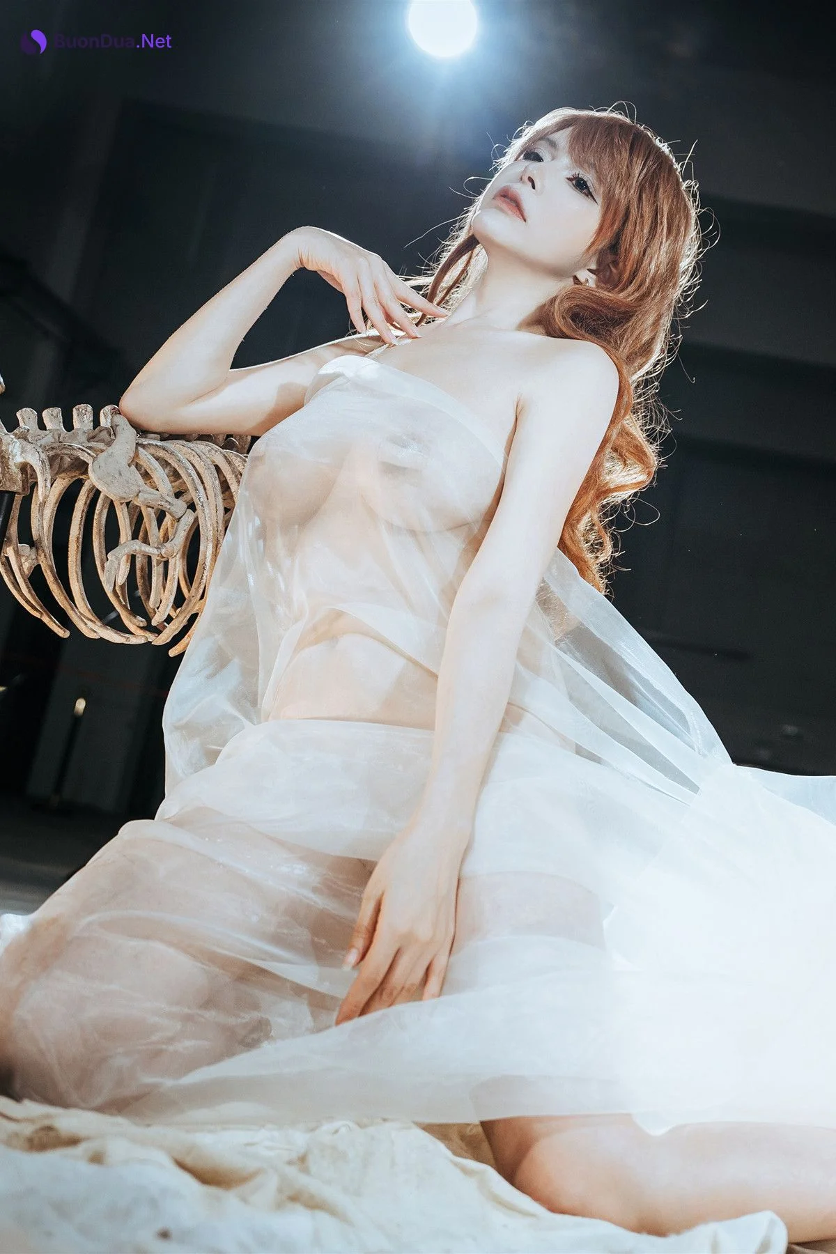 Cosplay 秋和柯基 夏小秋秋秋 纱 - Photo 6