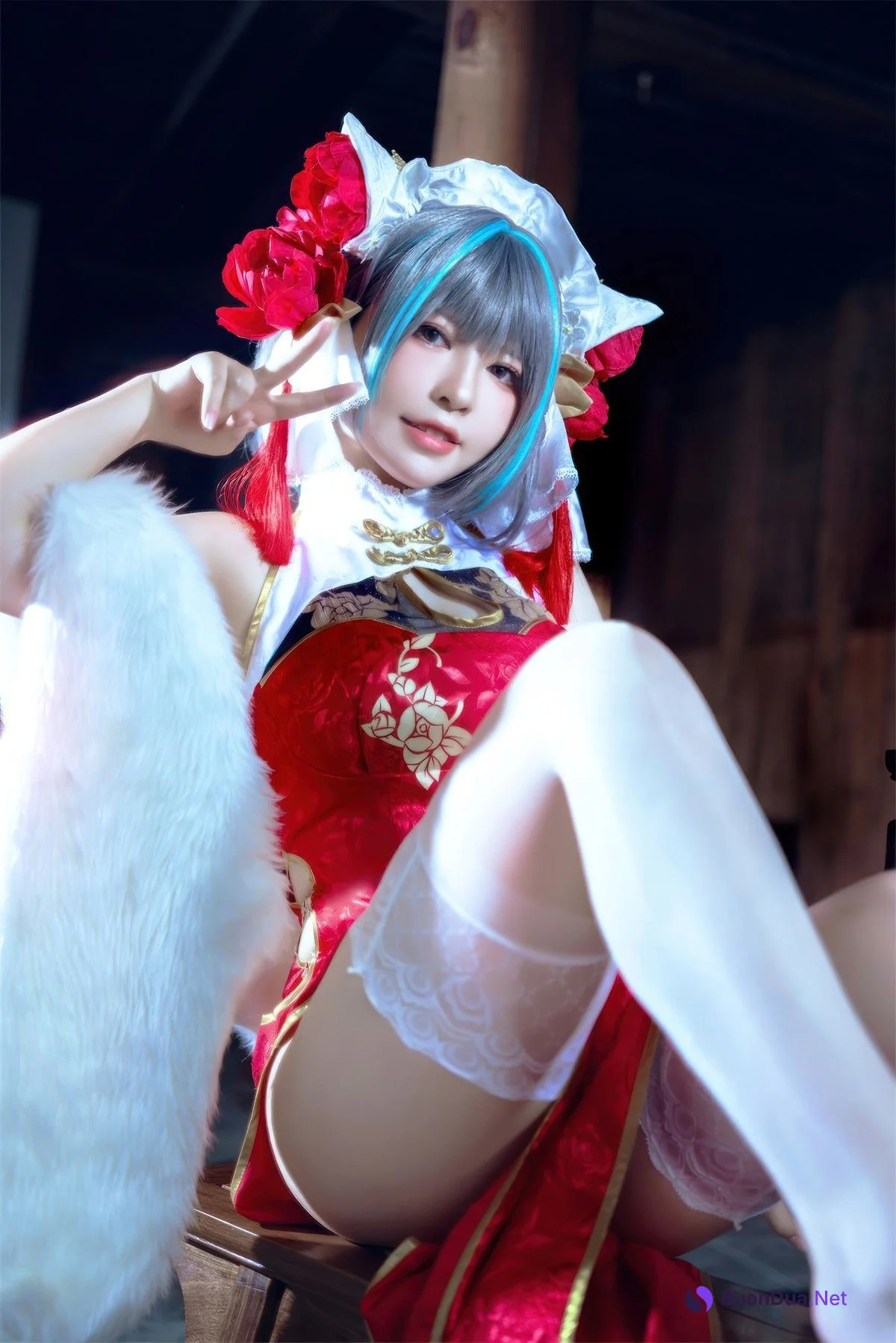 Cosplay 半半子Banbanko 柴郡中华娘旗袍 - Photo 20