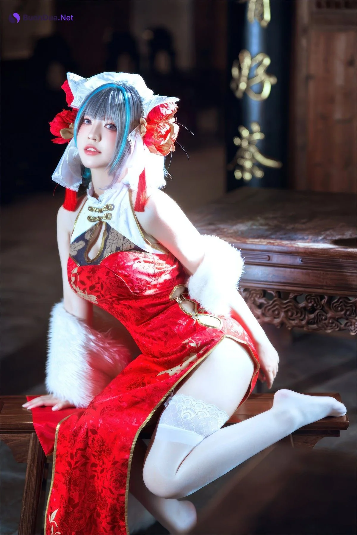Cosplay 半半子Banbanko 柴郡中华娘旗袍 - Photo 5