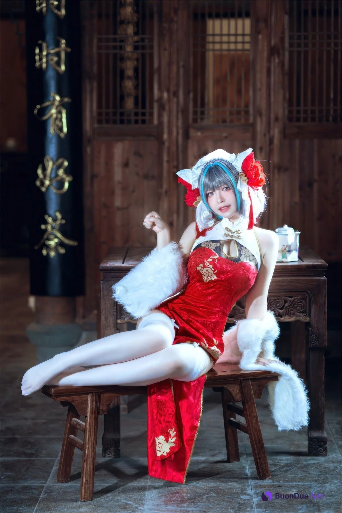 Cosplay 半半子Banbanko 柴郡中华娘旗袍 - Photo 8