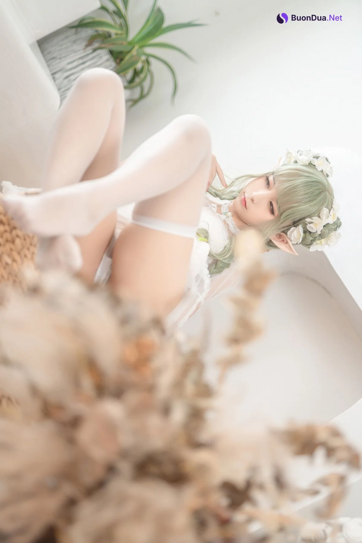 Cosplay 蠢沫沫Chunmomo 《尖耳国度》绿精灵 - รูปภาพ 11