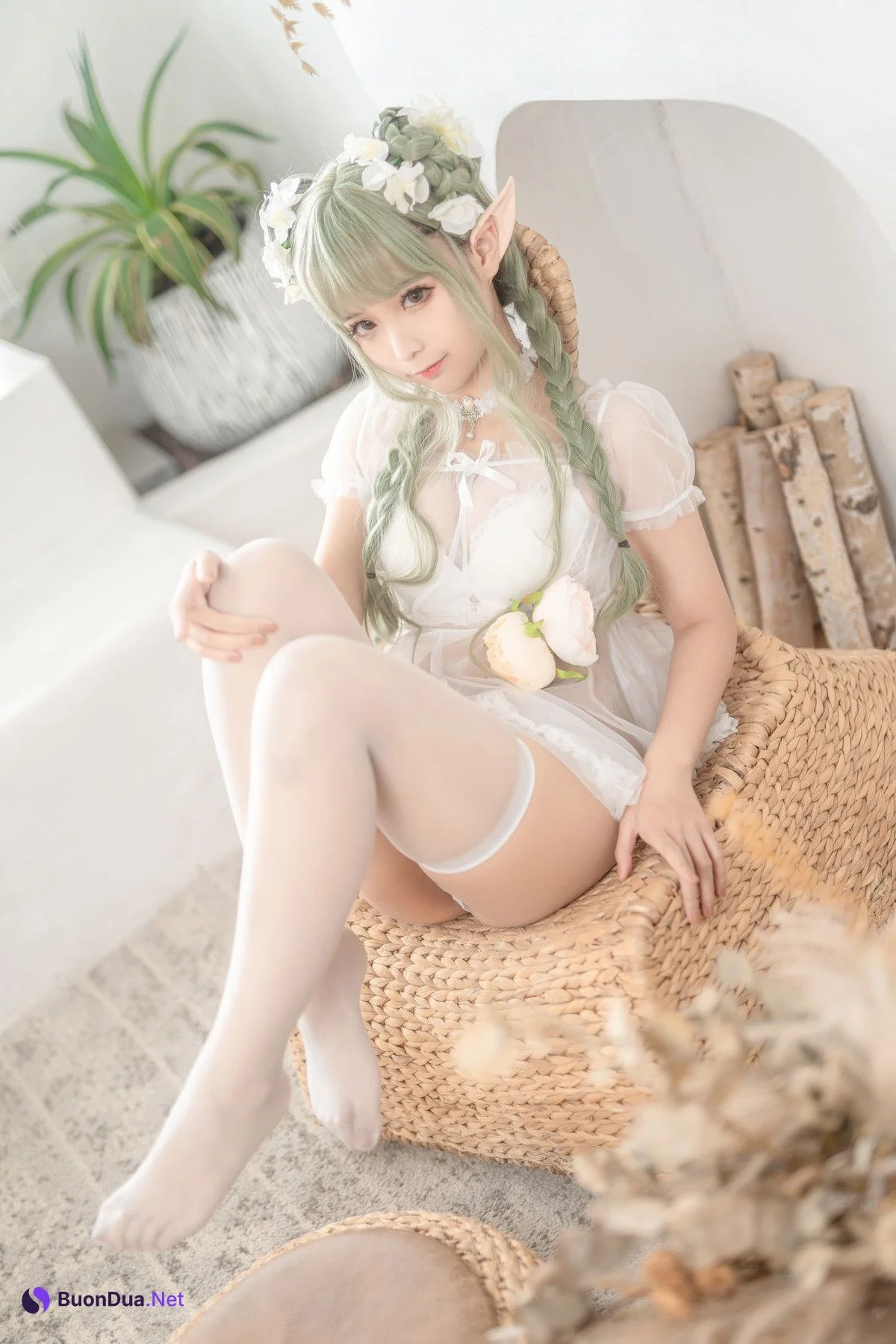 Cosplay 蠢沫沫Chunmomo 《尖耳国度》绿精灵 - รูปภาพ 6