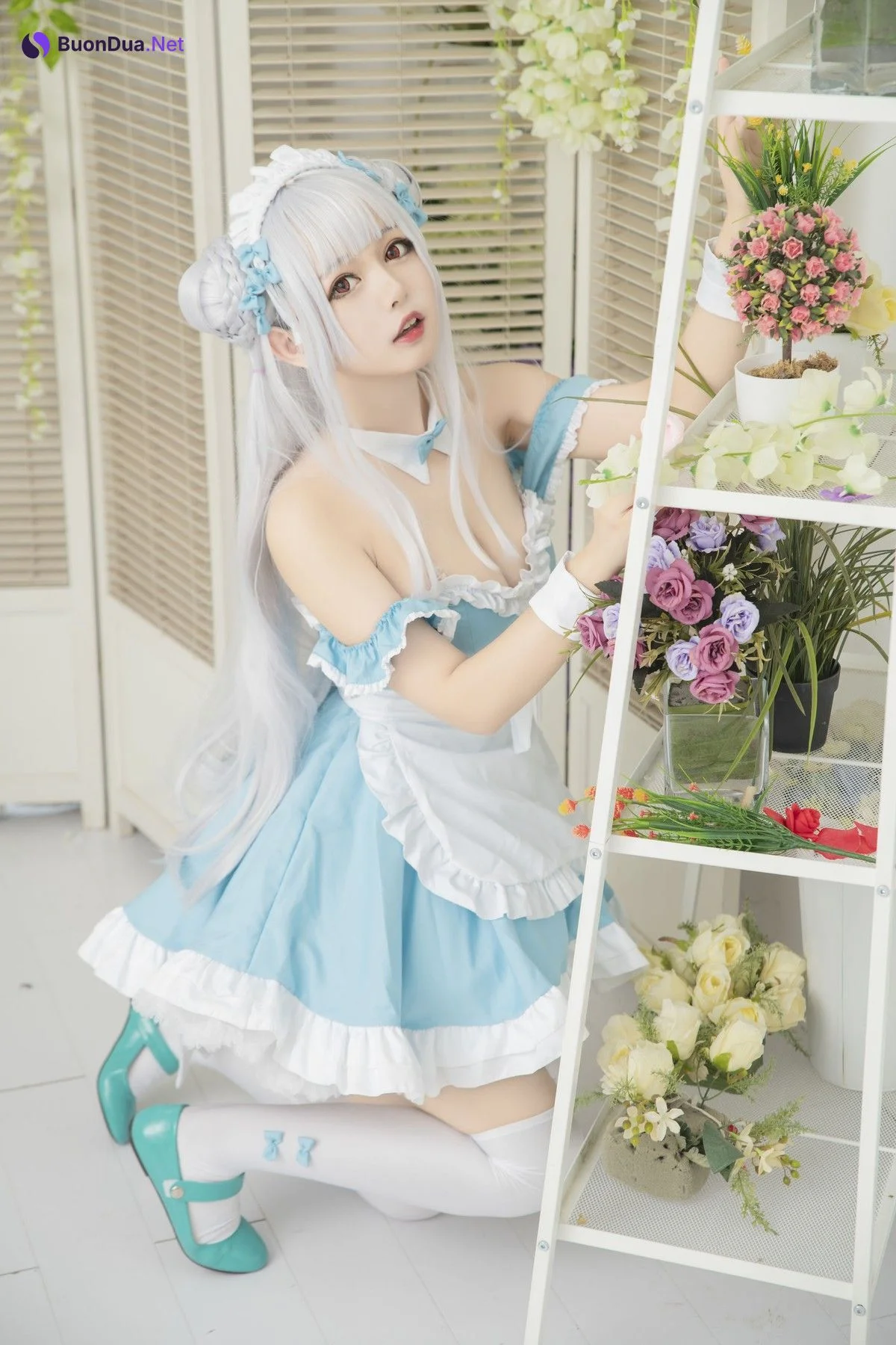Cosplay 黑猫猫 Cygnet シグニット - Photo 8