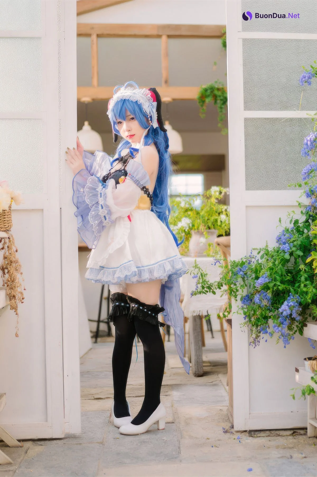 Cosplay 花铃 甘雨女仆 - Photo 17