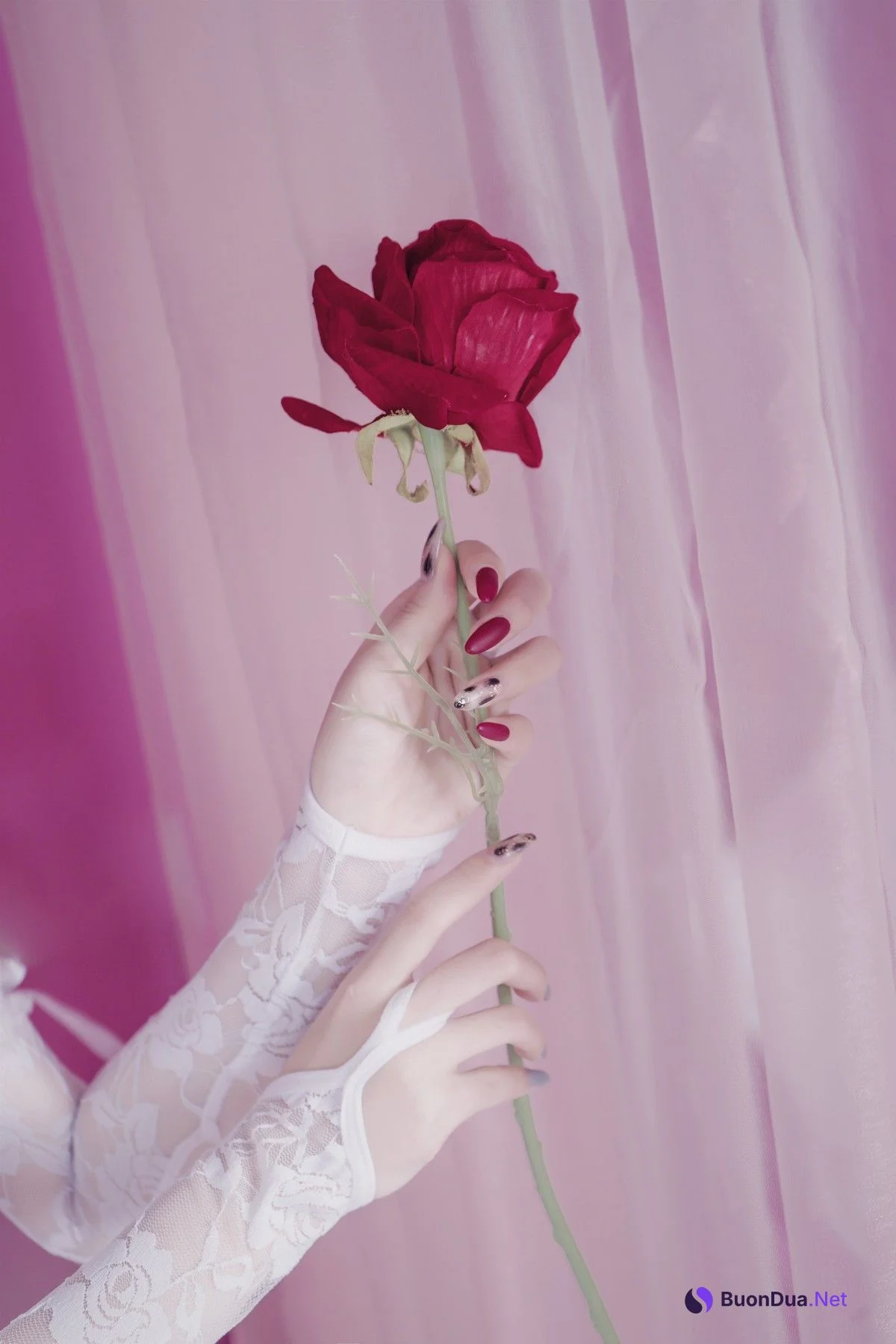 Cosplay eloise软软 入水蕾丝 - Photo 11