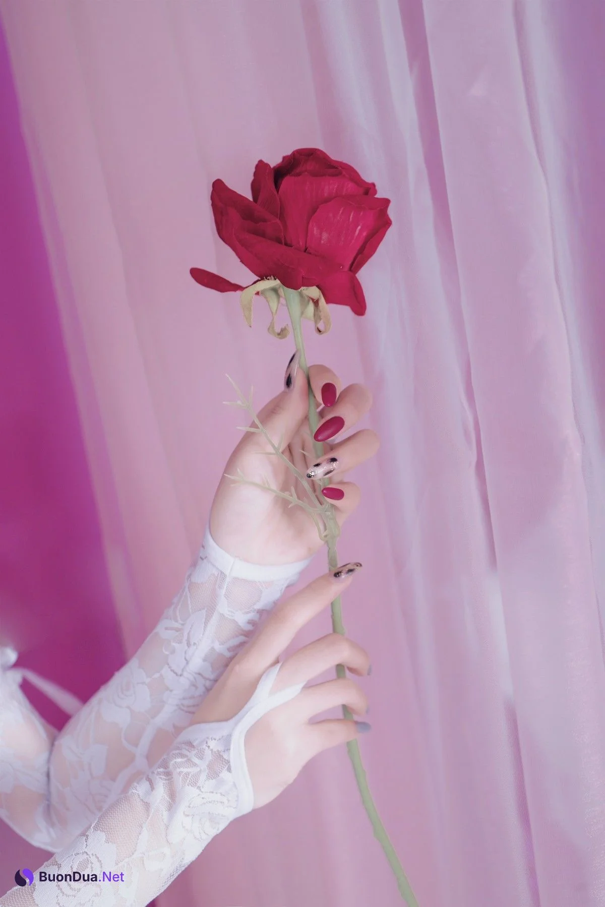 Cosplay eloise软软 入水蕾丝 - Photo 12