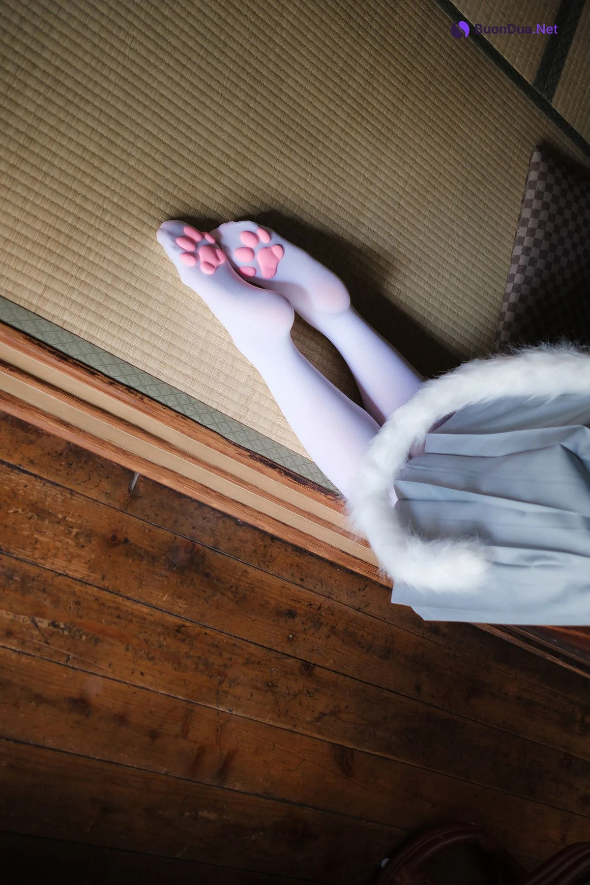 Cosplay ElyEE子 Veranda White Cat緣廊白貓 - Photo 11