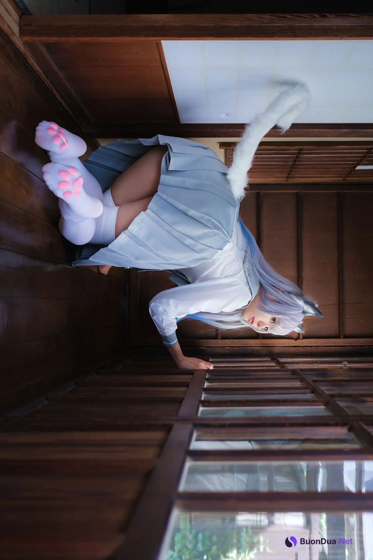 Cosplay ElyEE子 Veranda White Cat緣廊白貓 - Photo 15