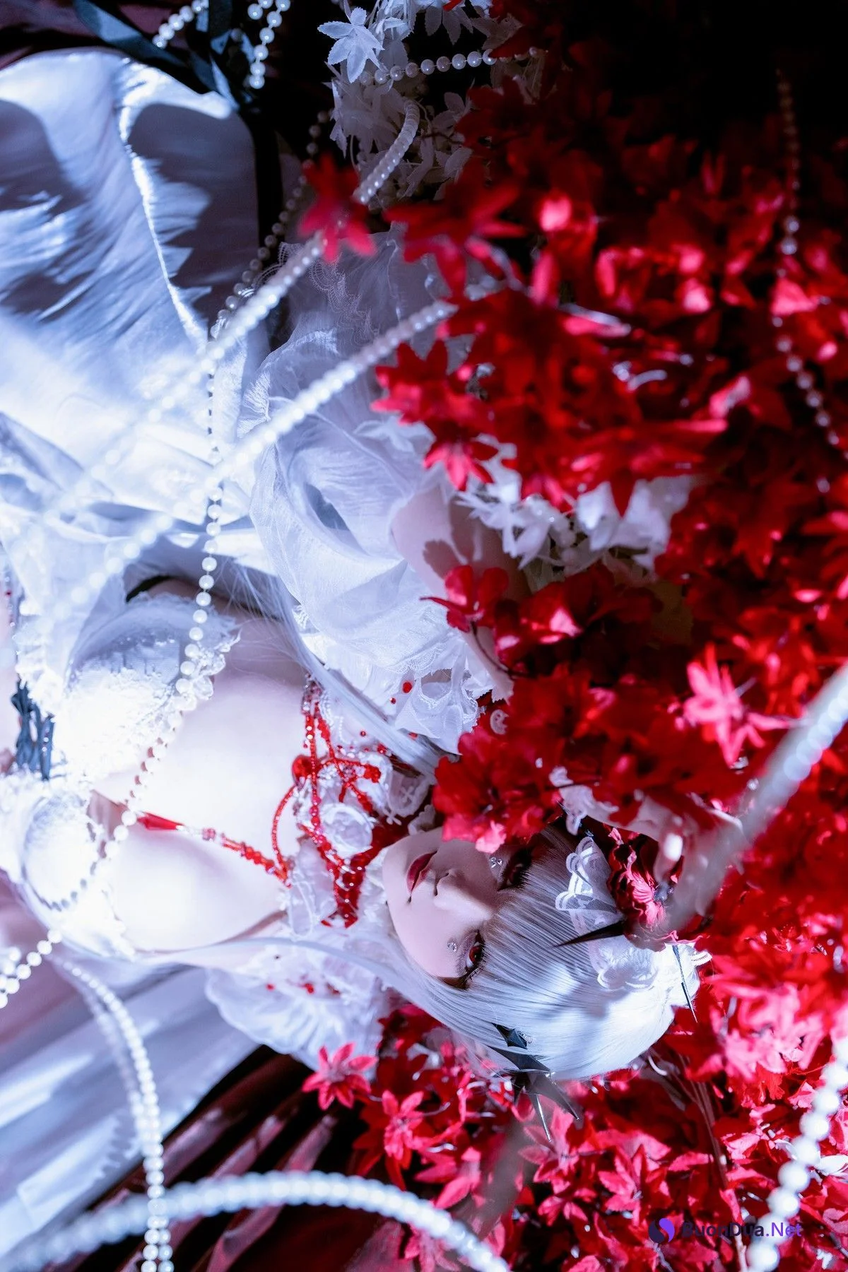 Cosplay 星之迟迟Hoshilily 无期迷途可可莉克 - Photo 16