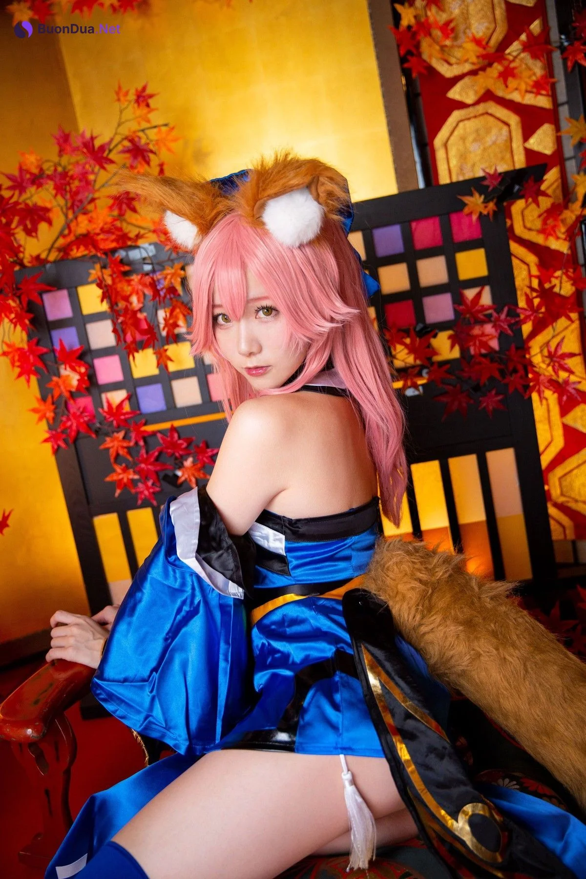 Cosplay Kenken けんけん 玉藻降臨 Set.02 - Photo 11