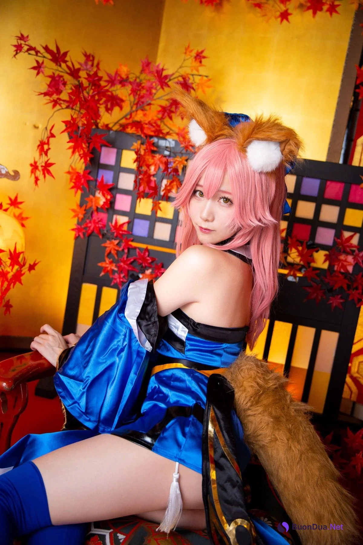 Cosplay Kenken けんけん 玉藻降臨 Set.02 - Photo 12
