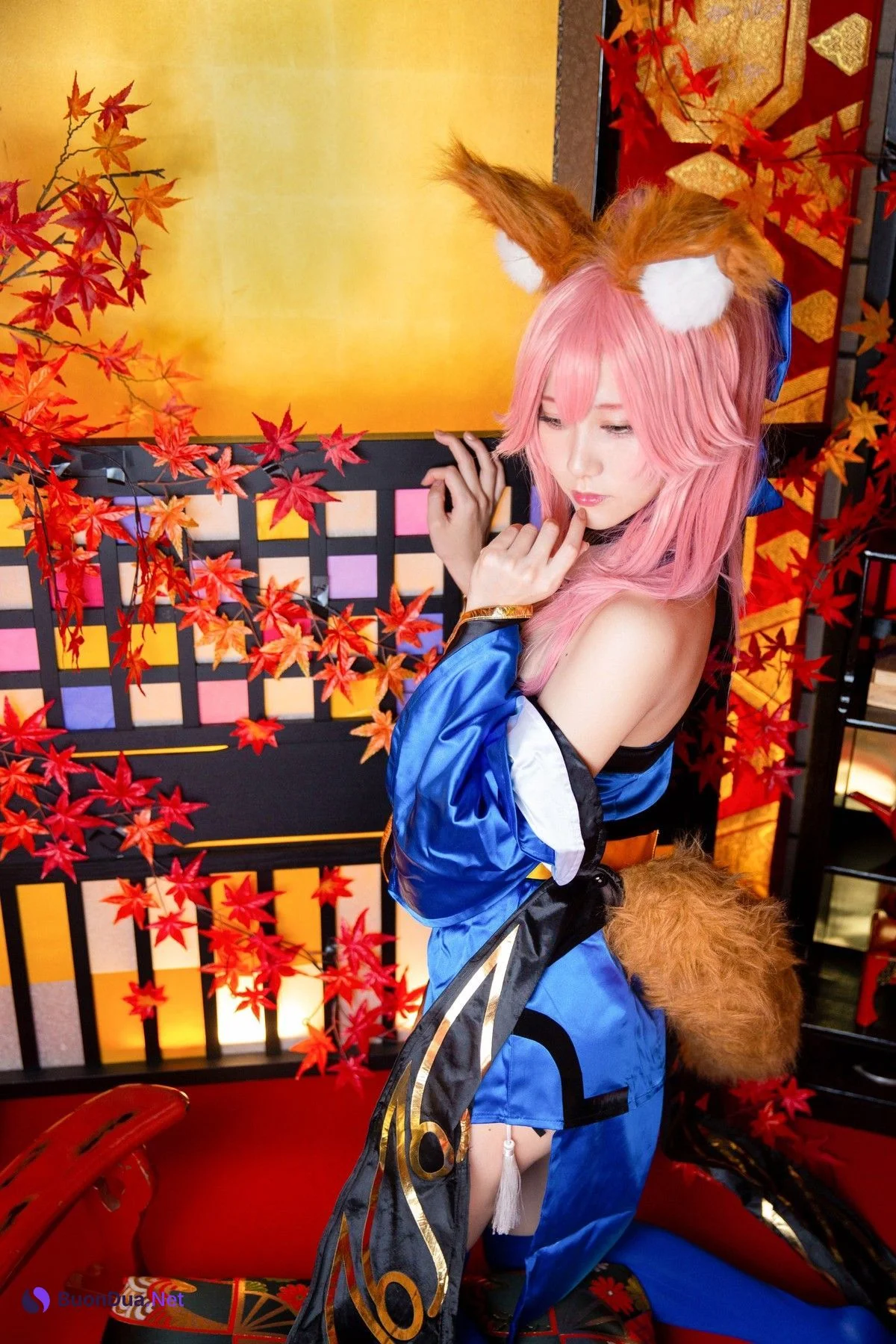 Cosplay Kenken けんけん 玉藻降臨 Set.02 - Photo 7