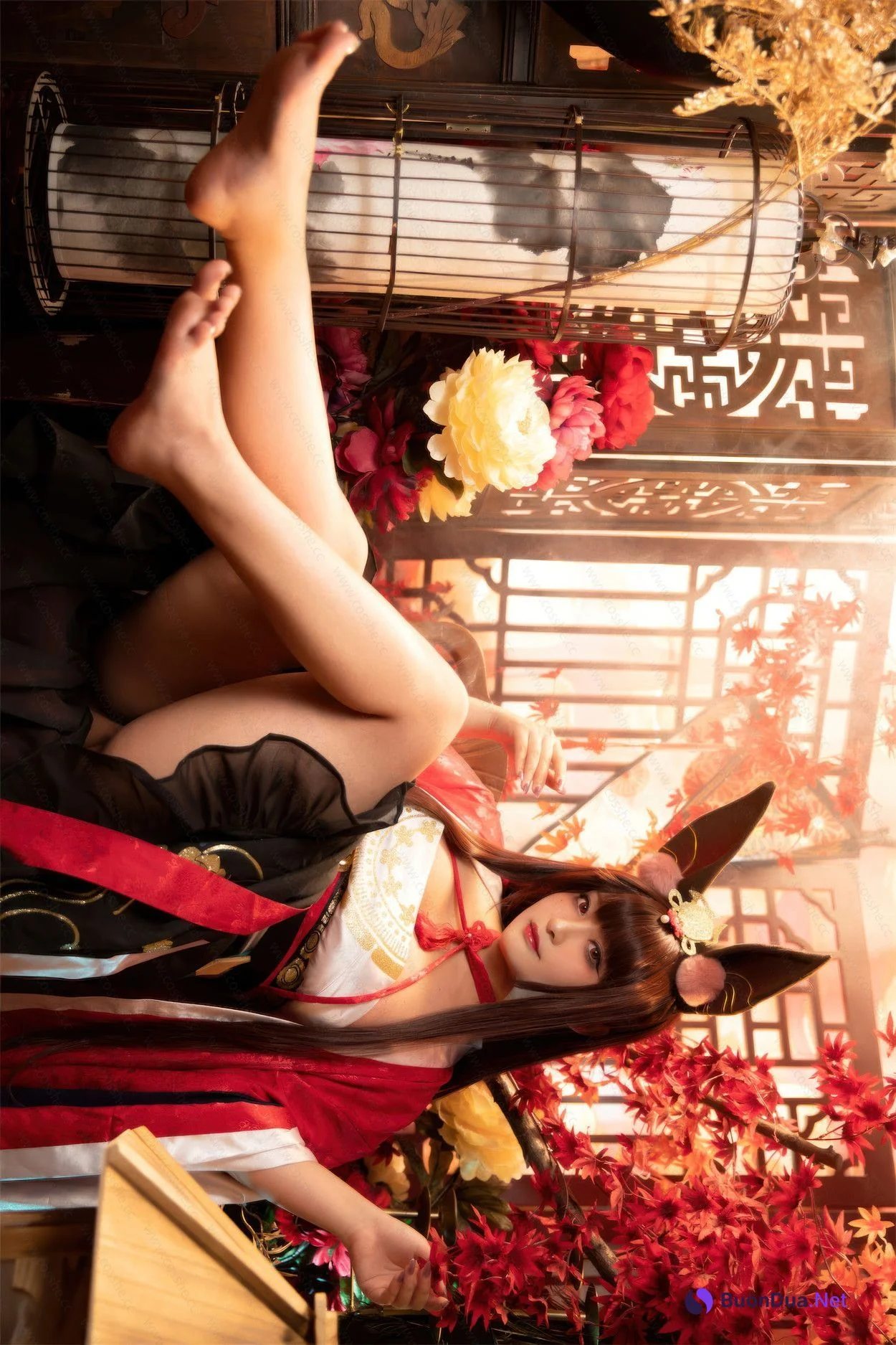 Cosplay 洛璃LoLiSAMA 赤城 朝凰来仪 - Photo 17