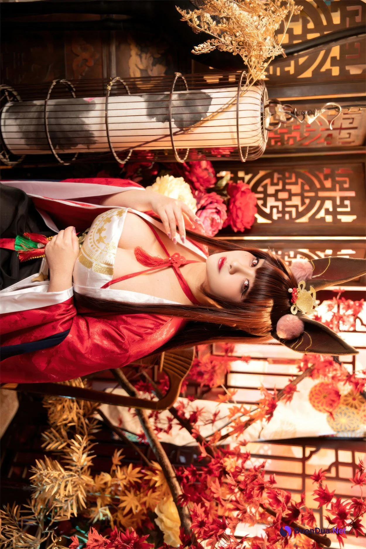 Cosplay 洛璃LoLiSAMA 赤城 朝凰来仪 - Photo 2