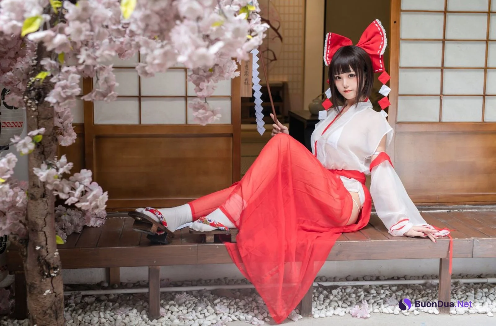 蜜汁貓裘 Cosplay 巫女 Miko Sister - Photo 5