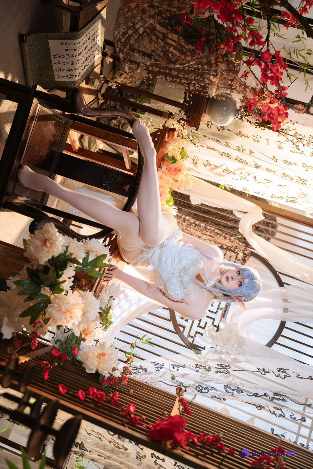 Cosplay Natsuko夏夏子 碧蓝航线 阿尔比恩旗袍 - รูปภาพ 19