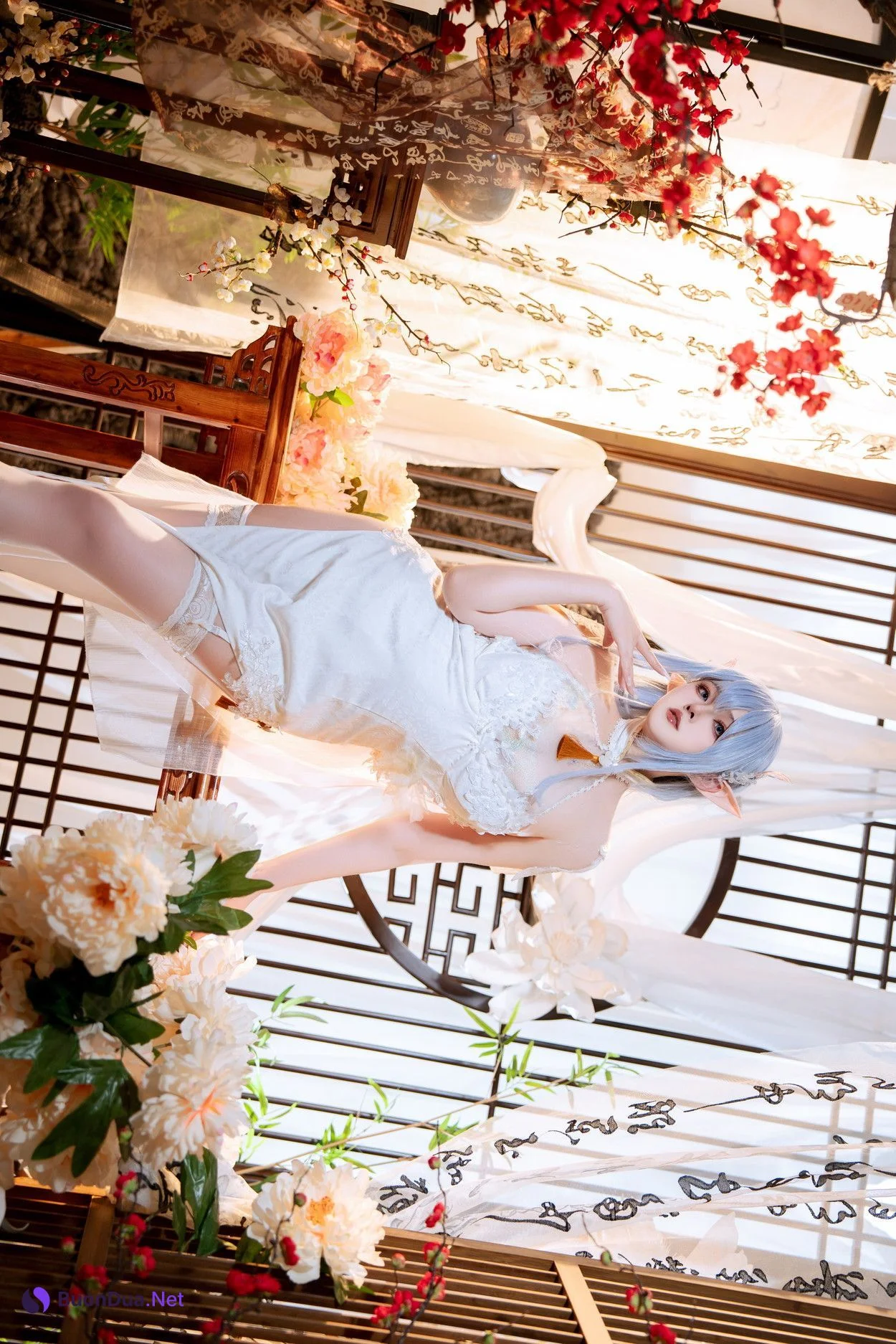 Cosplay Natsuko夏夏子 碧蓝航线 阿尔比恩旗袍 - รูปภาพ 6