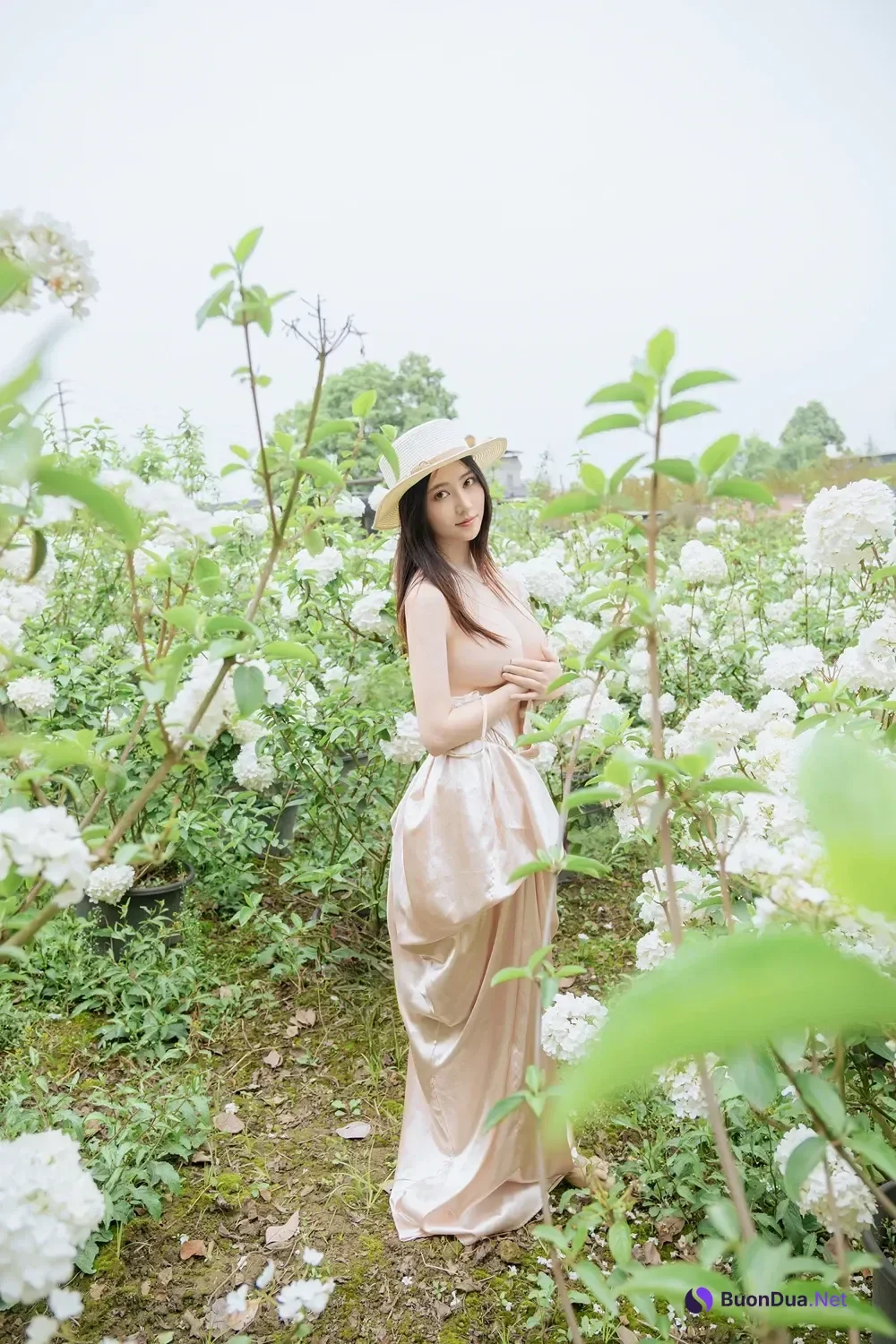 Cosplay 年年Nnian – 木绣球 & 夏日小院 - 사진 12