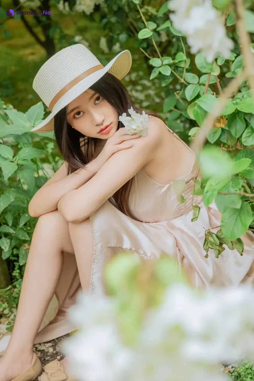 Cosplay 年年Nnian – 木绣球 & 夏日小院 - 사진 2