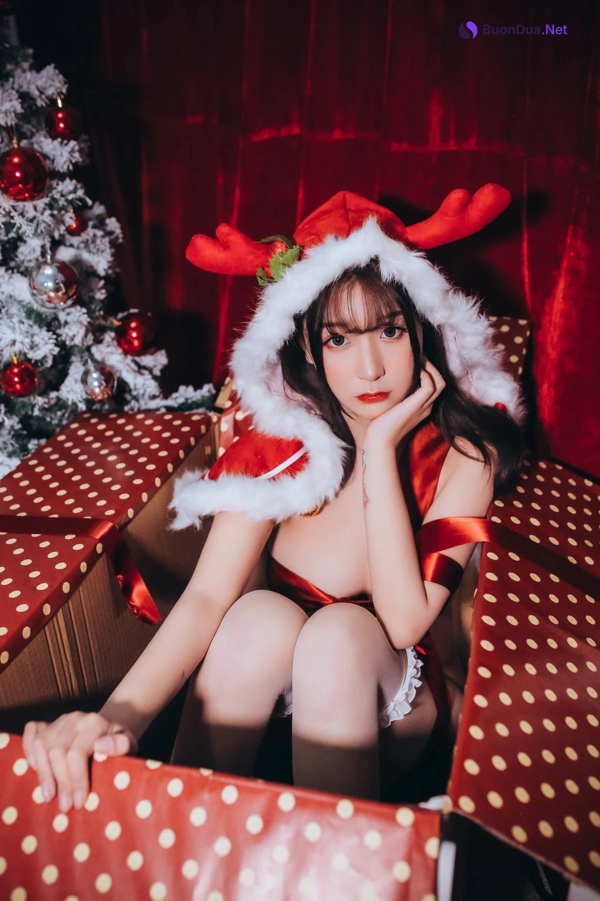 Cosplay 猫九酱Sakura 圣诞套 - Photo 3