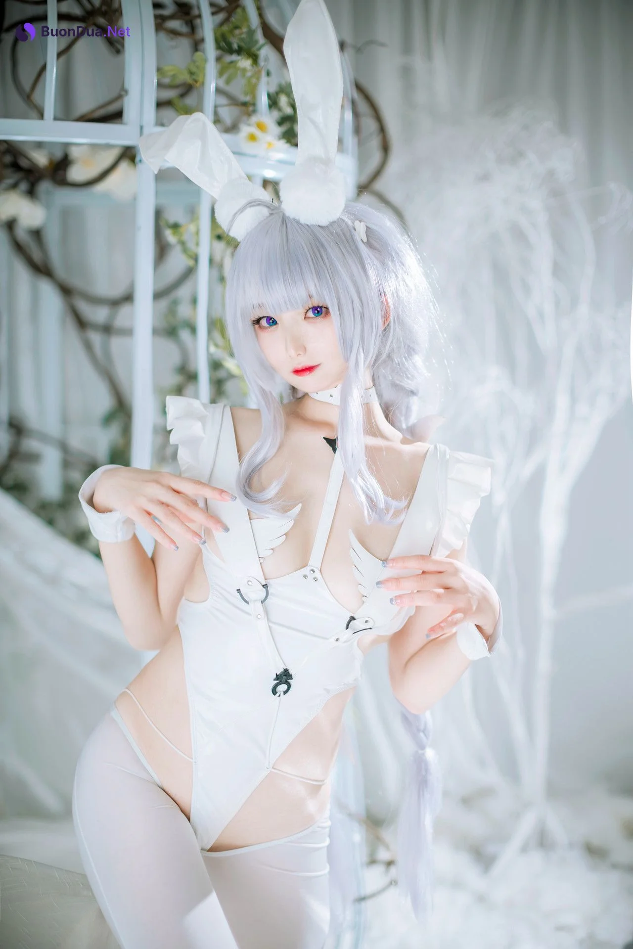 Cosplay 封疆疆v 恶毒 - 写真 17