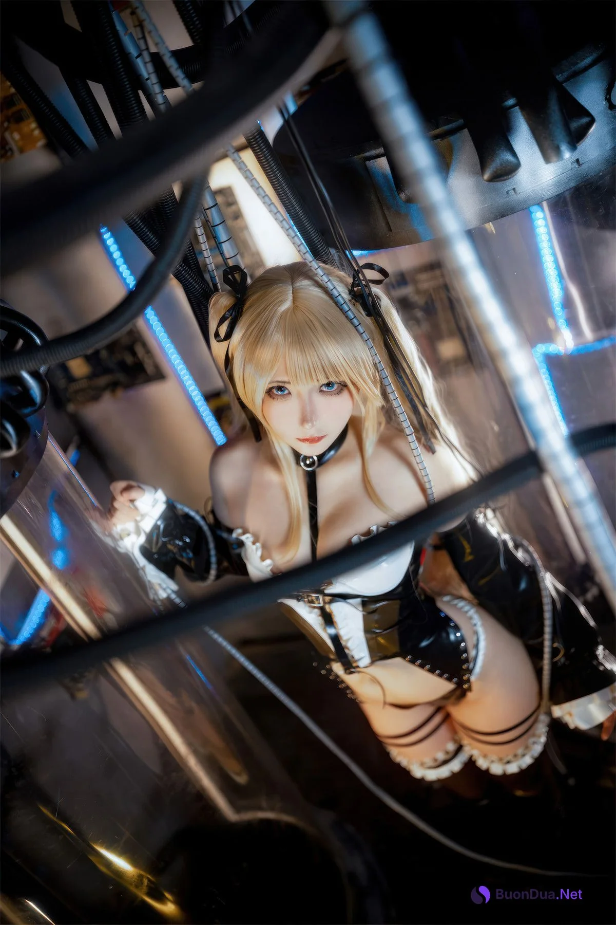 Cosplay 是三不是世w 玛丽萝丝胶衣 - Photo 14