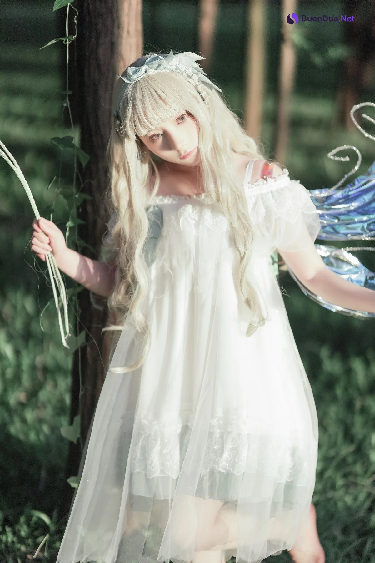 Cosplay 是三不是世w 林中精灵 - Photo 15