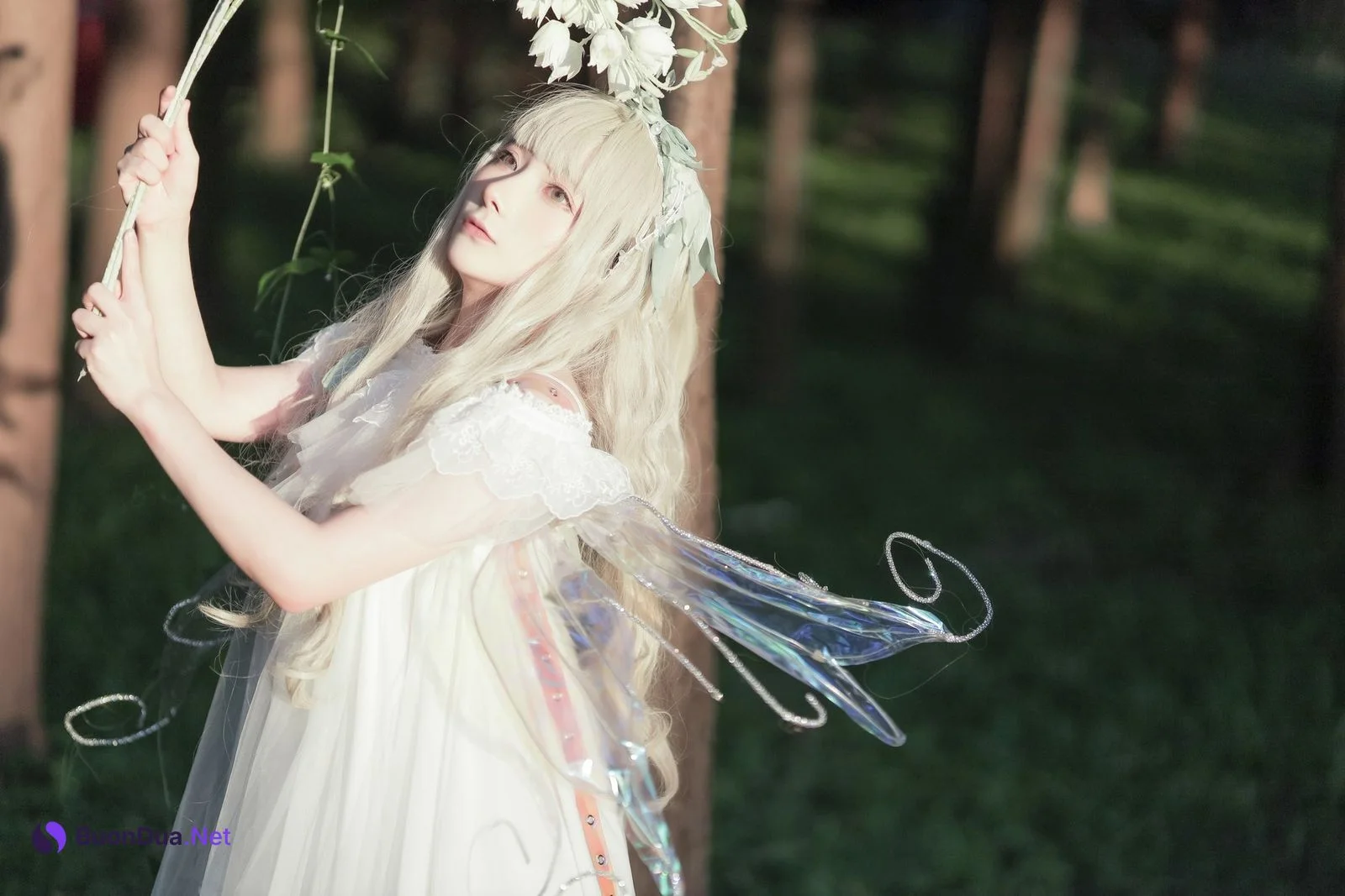 Cosplay 是三不是世w 林中精灵 - Photo 19