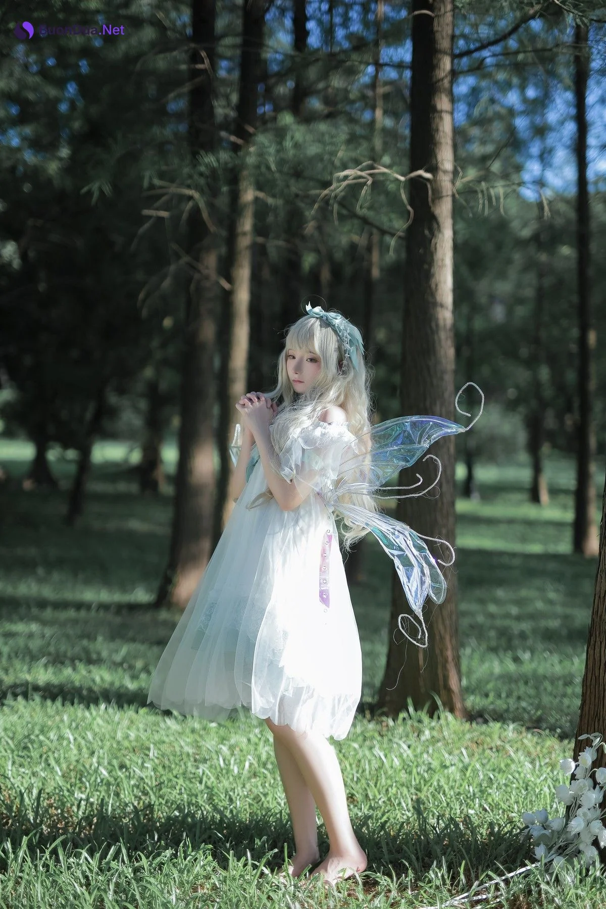 Cosplay 是三不是世w 林中精灵 - Photo 2