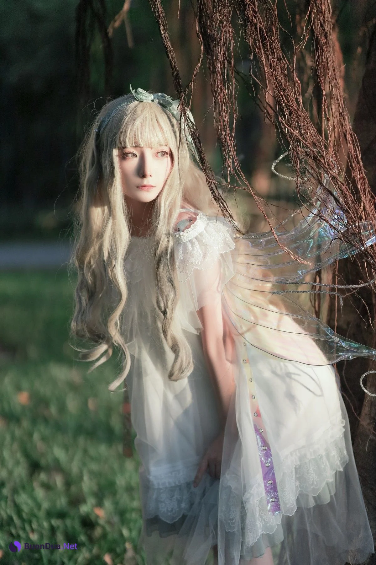 Cosplay 是三不是世w 林中精灵 - Photo 20